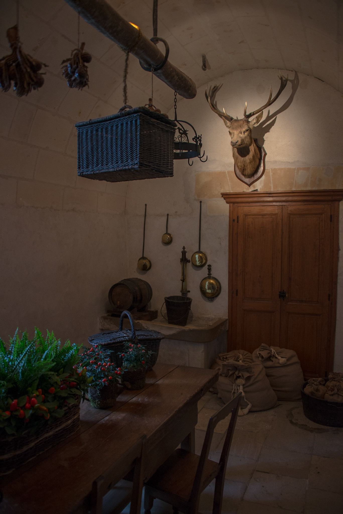 Château de Chenonceau