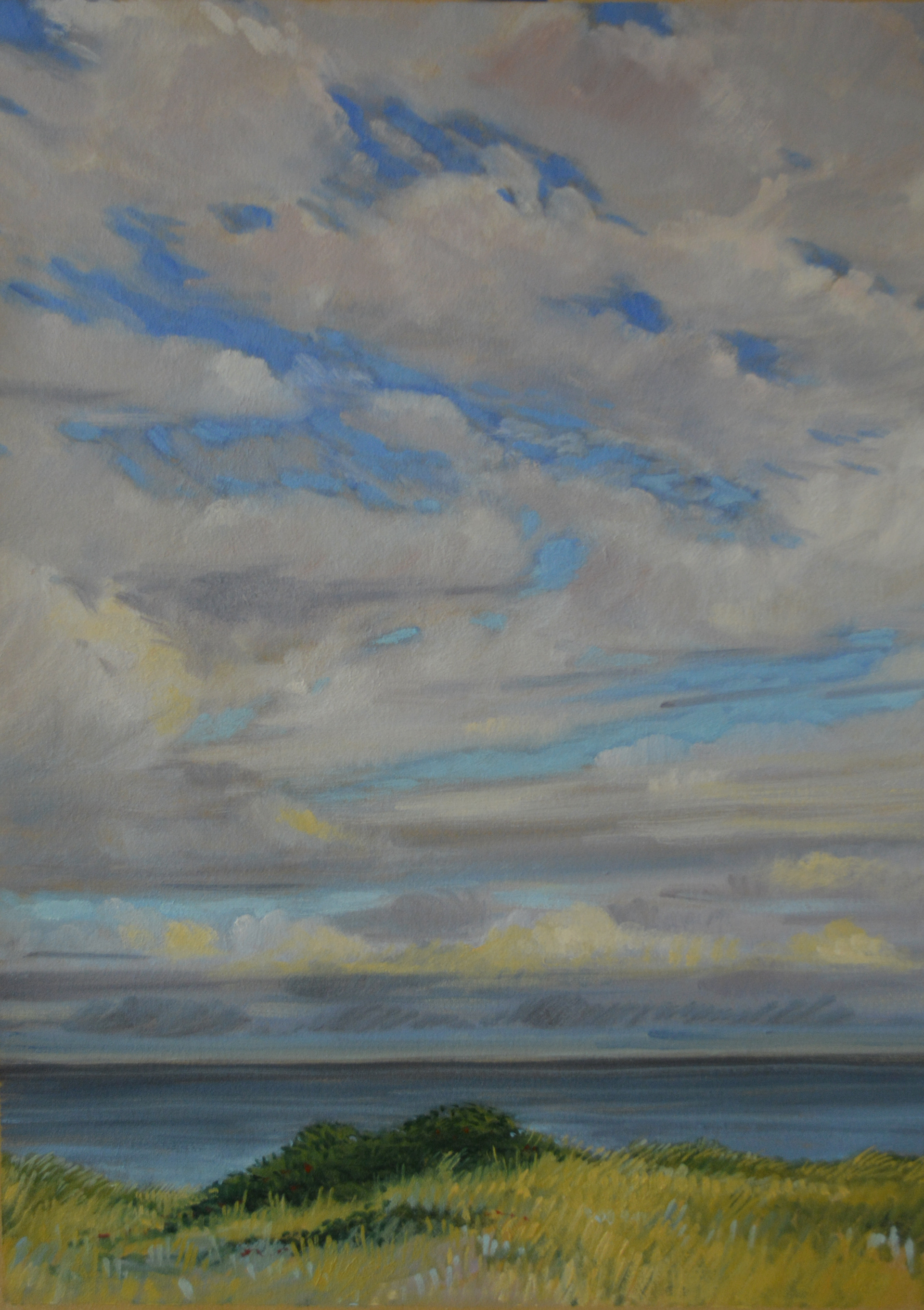 Cloud study, 9am. Oil on buff BKF Rives paper, 14.25" h x 10.5" w