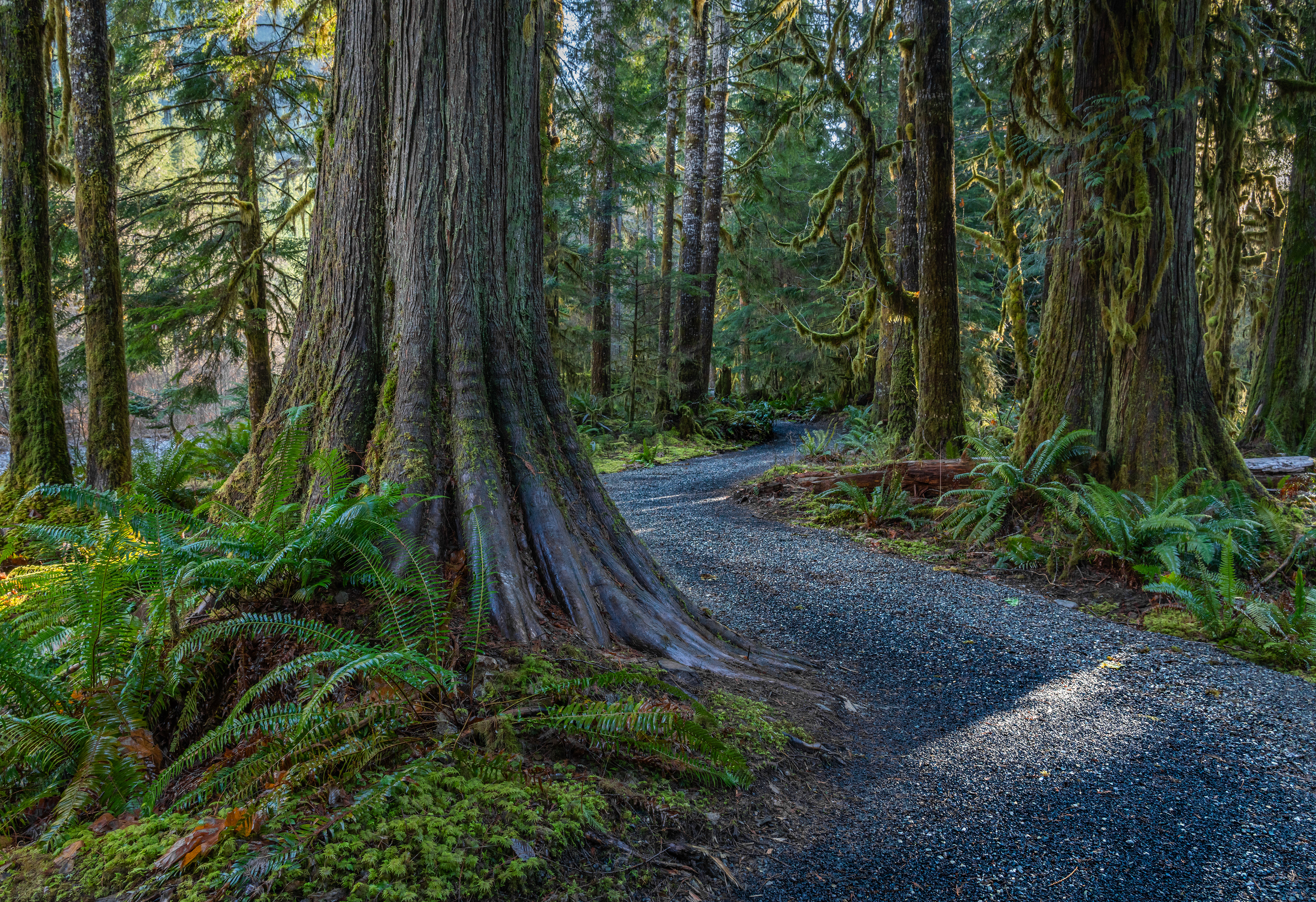 Path Through Giants