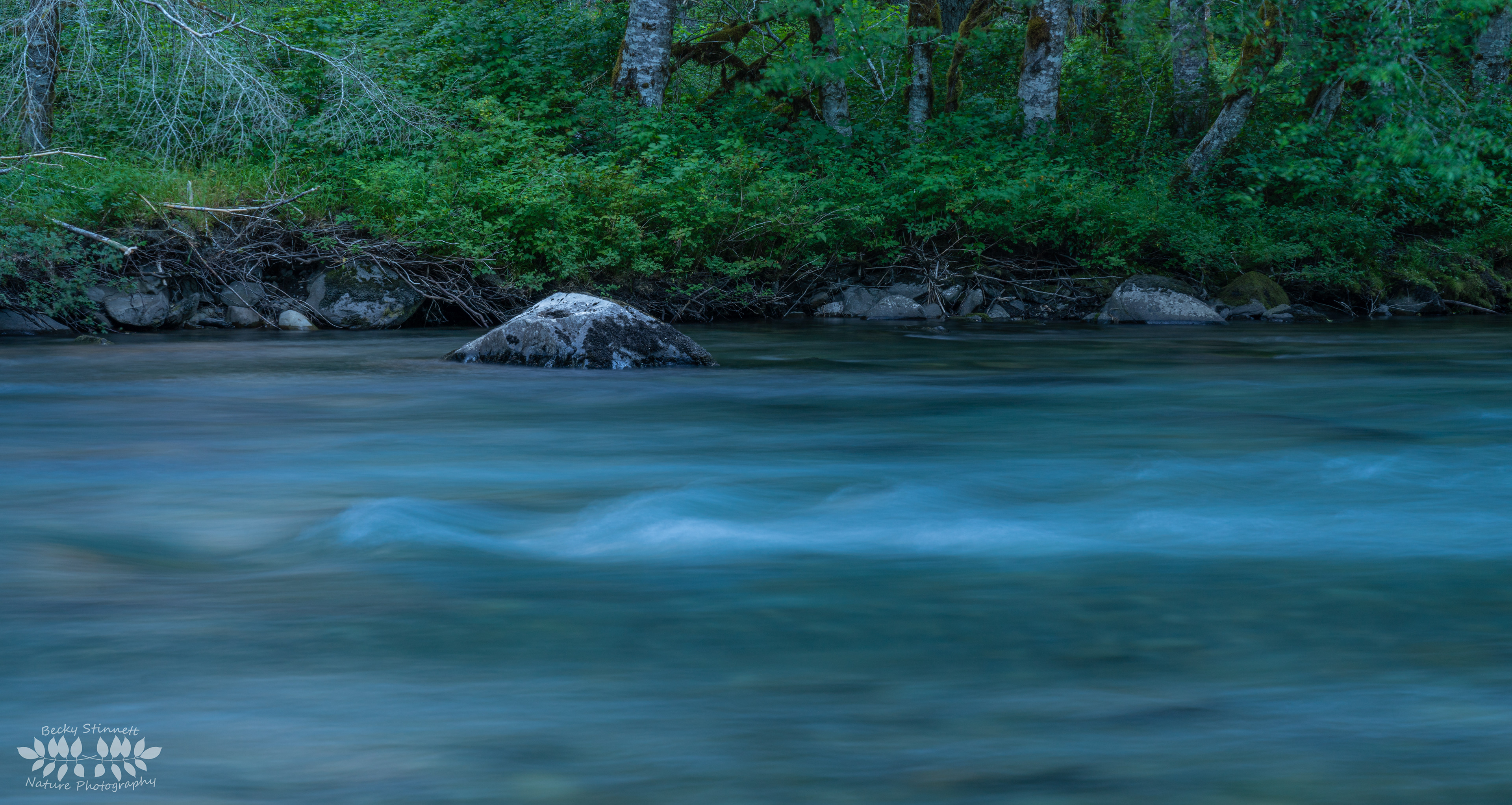 A Night on the Elwha