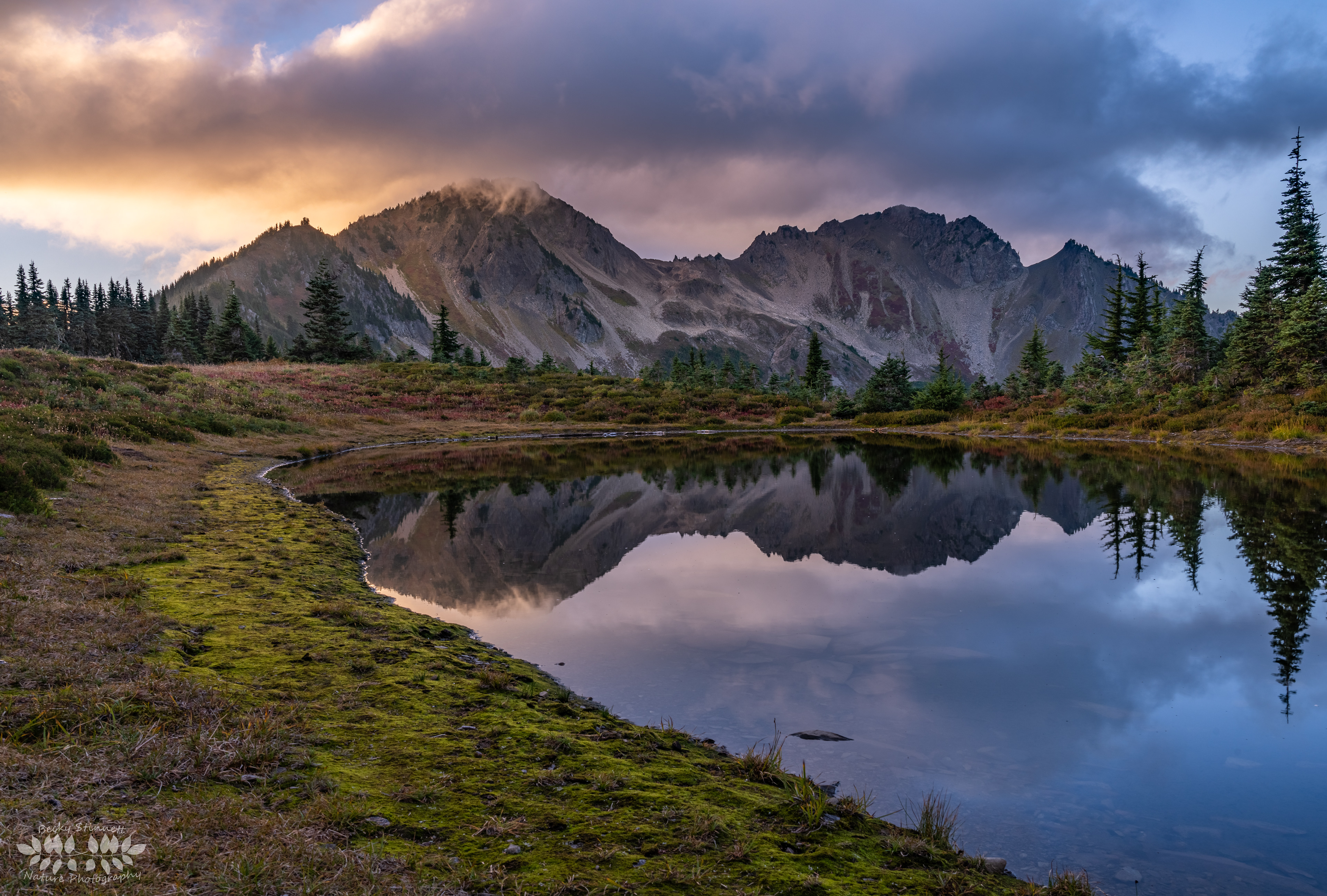 Oyster Lake