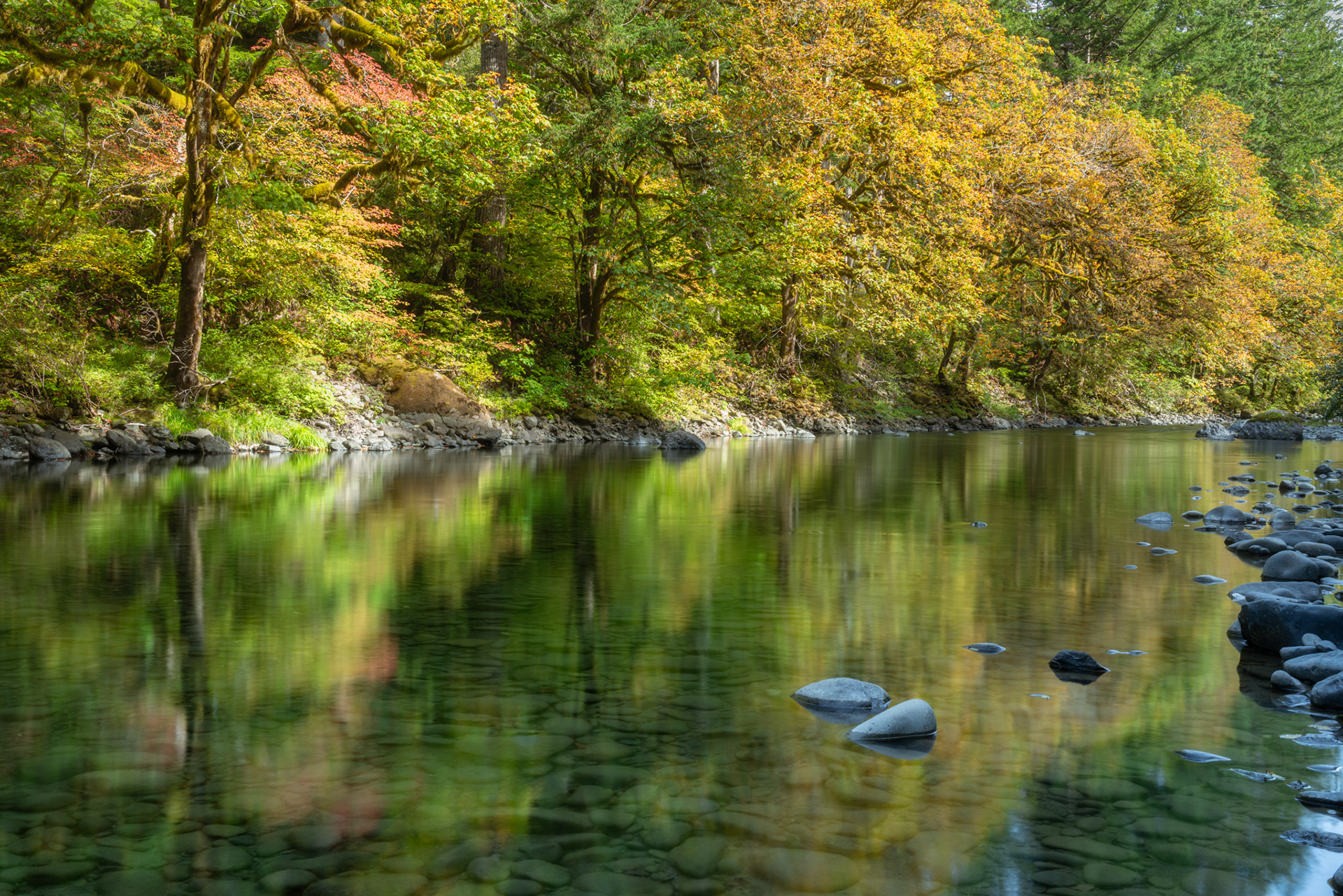 October on Sol Duc (1)