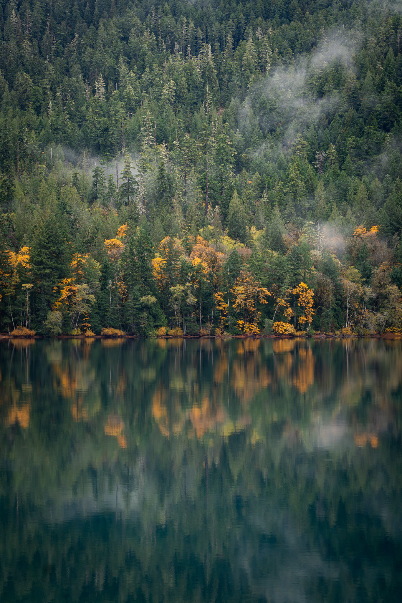 This Is PNW
