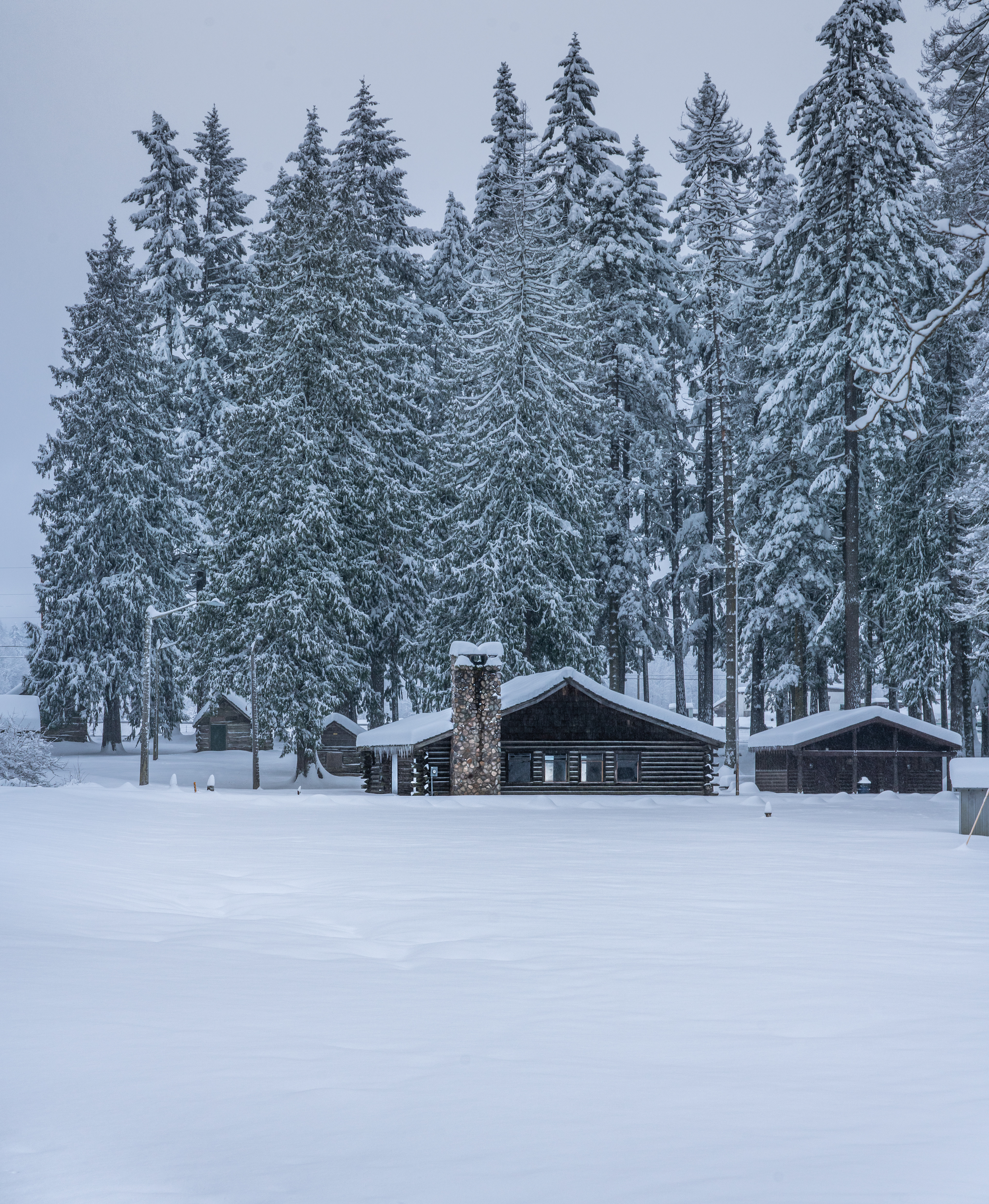 Lincoln Shelter