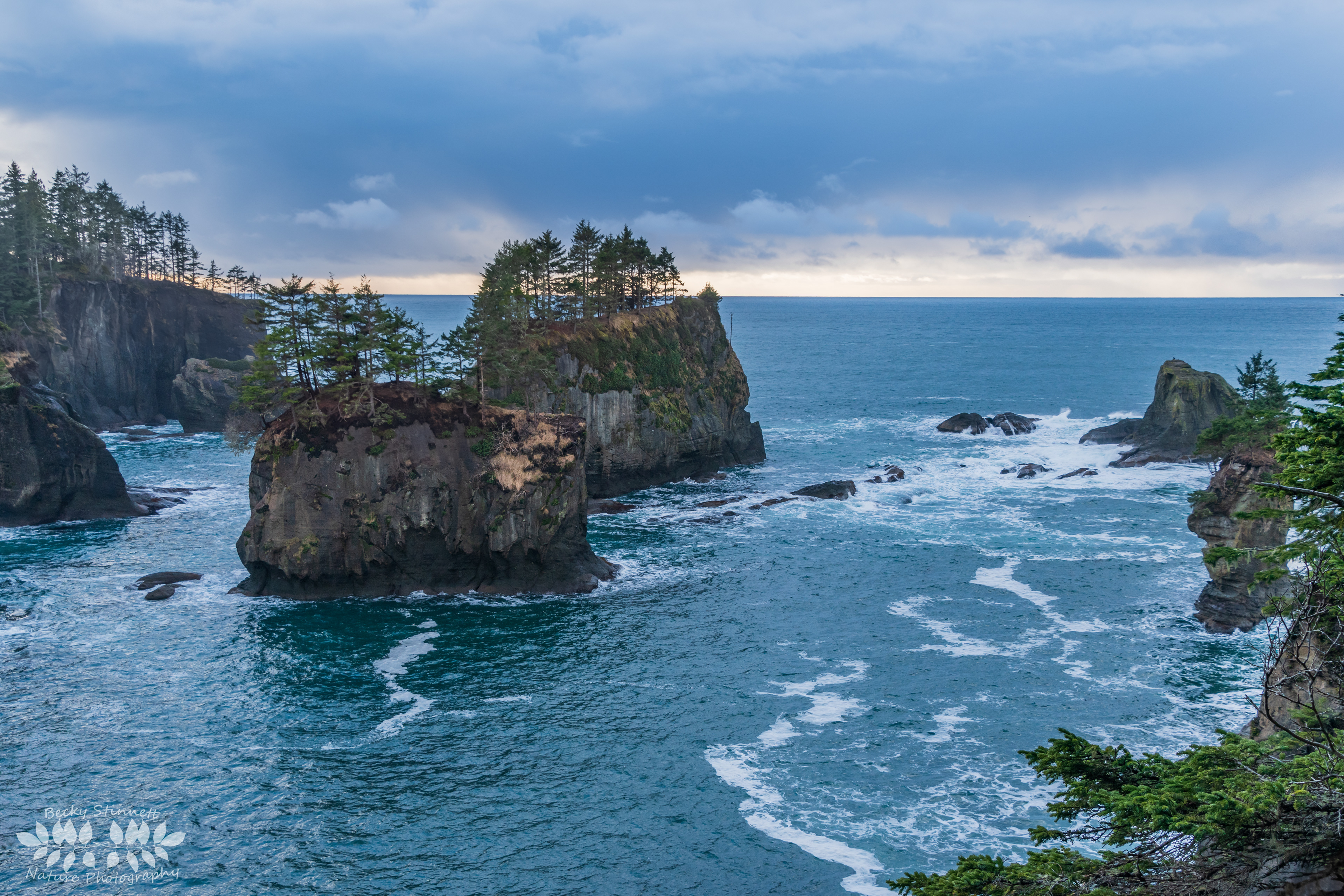 Cape Flattery Sea Stacks