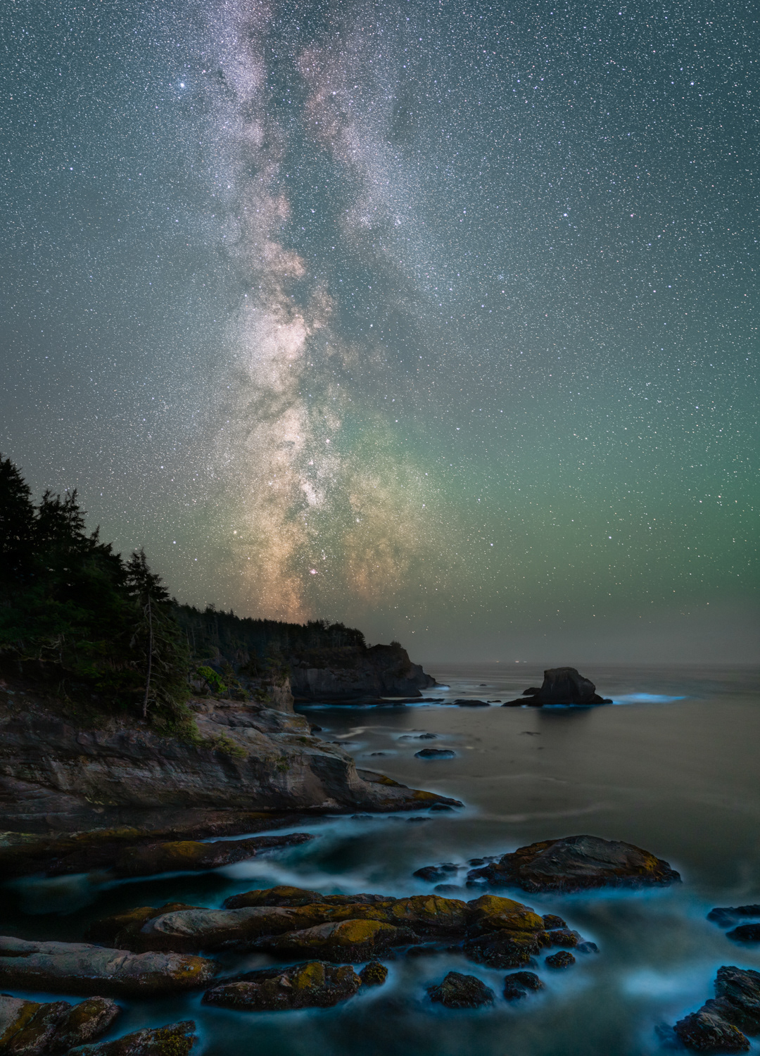 Midnight Lights