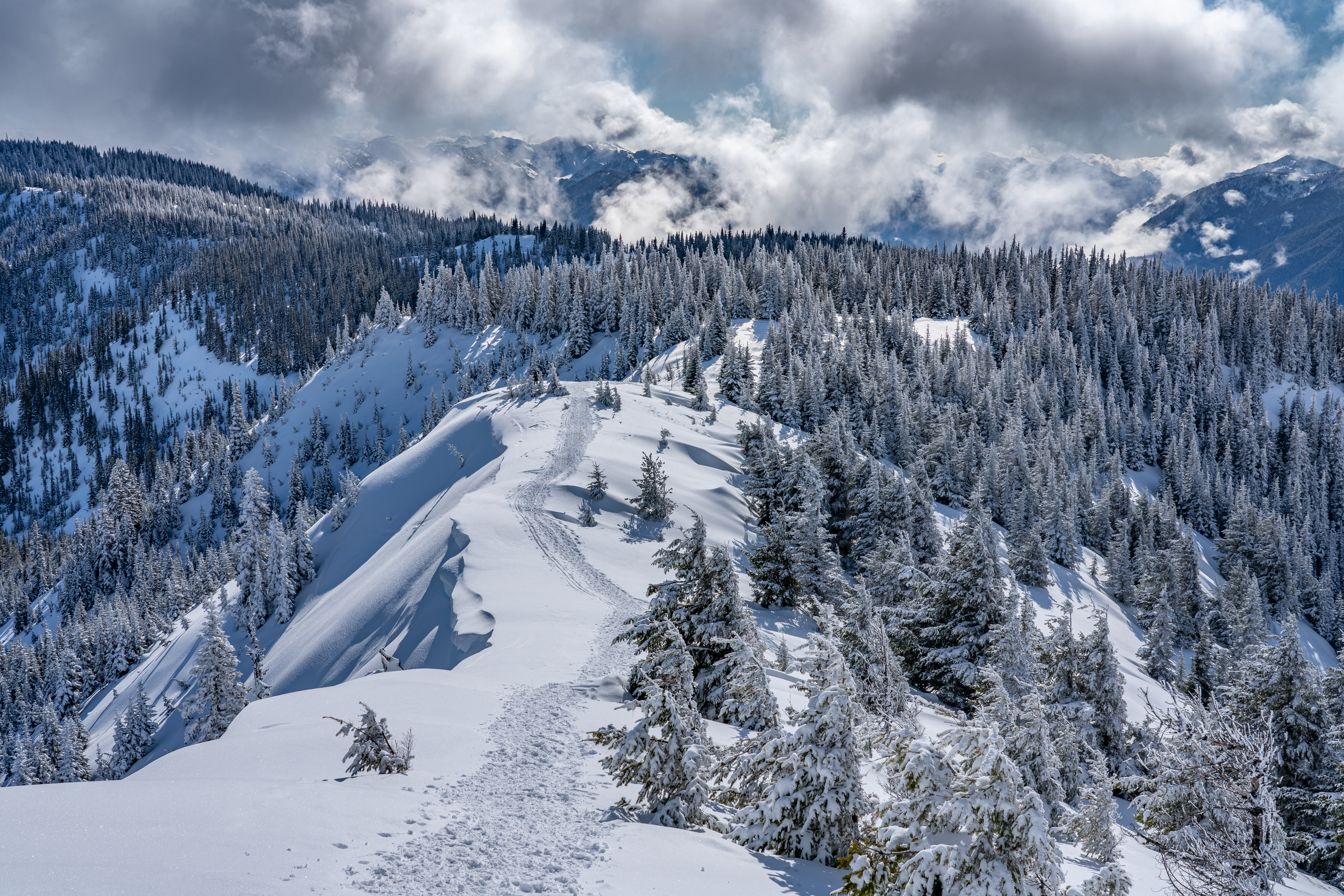 Snowshoe Path