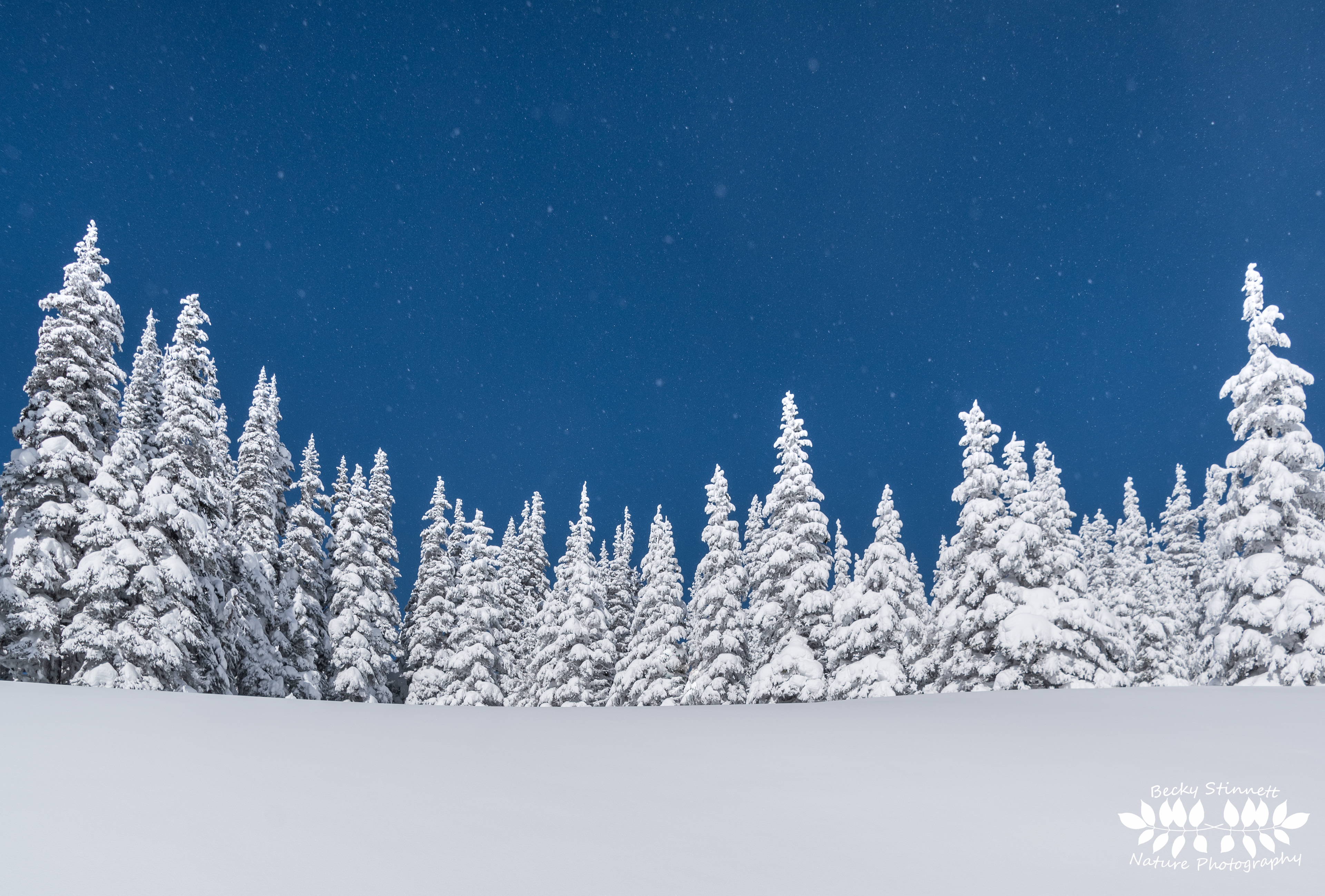 Blue Skies and Fresh Powder