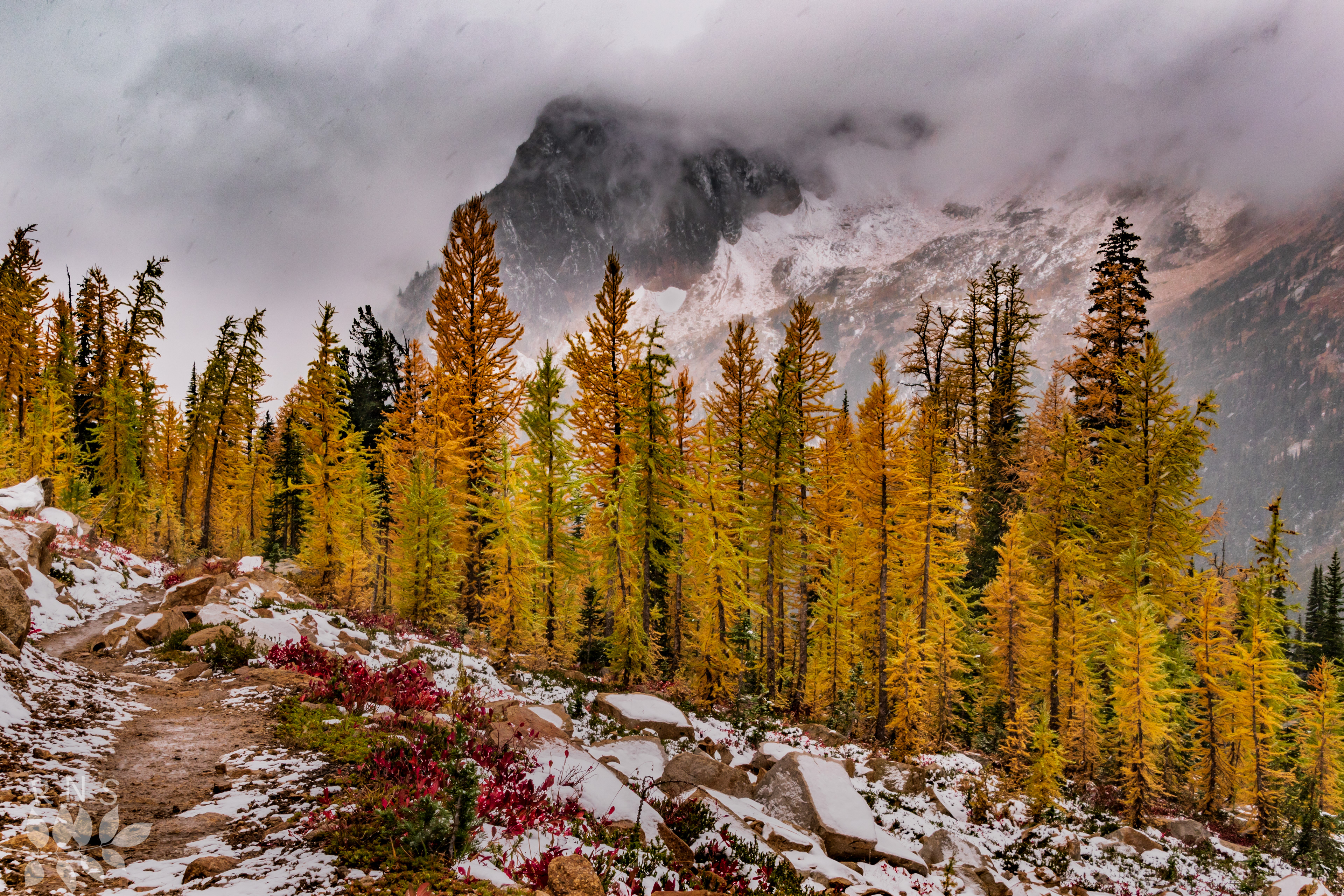 Cutthroat Pass