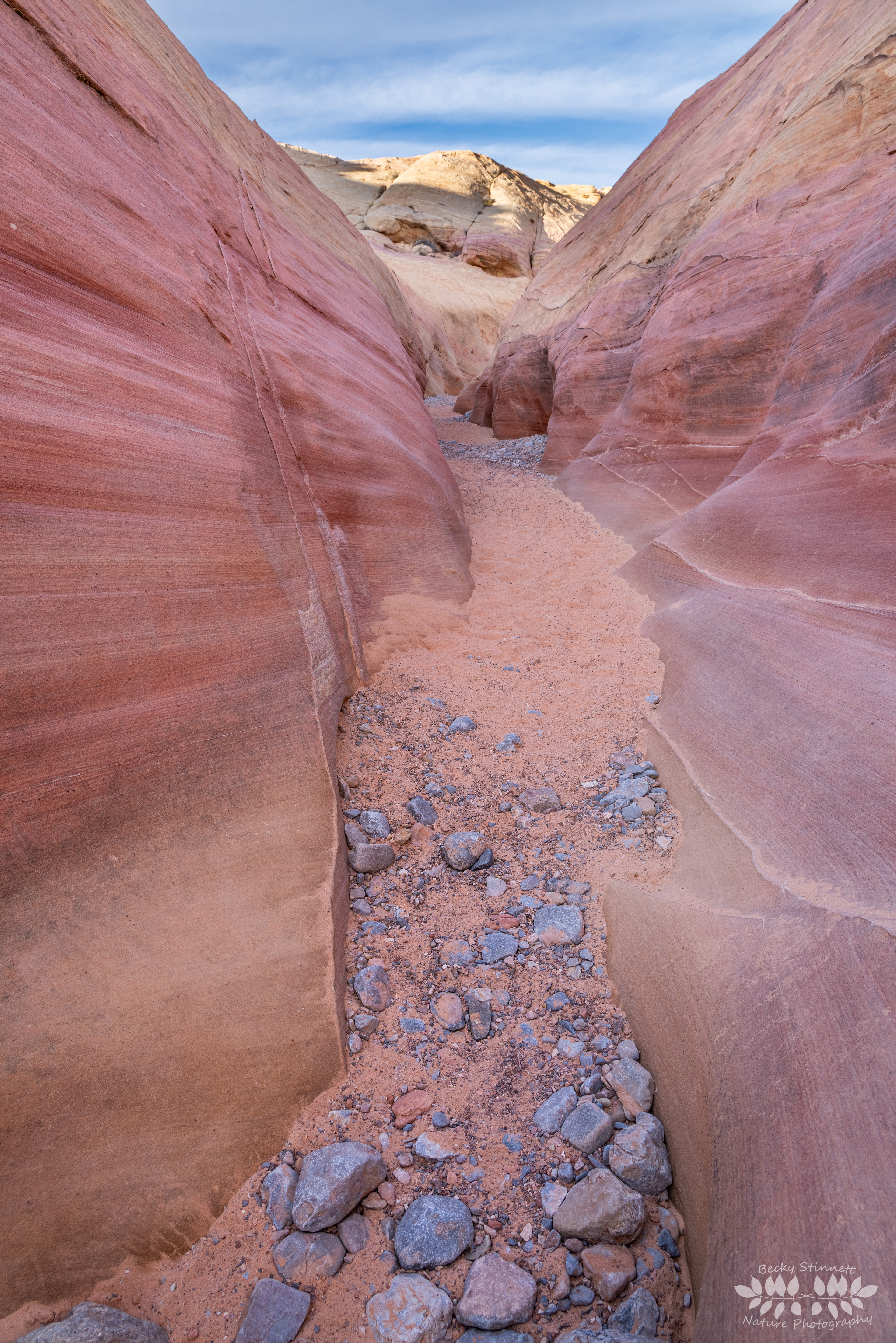 Pink Canyon