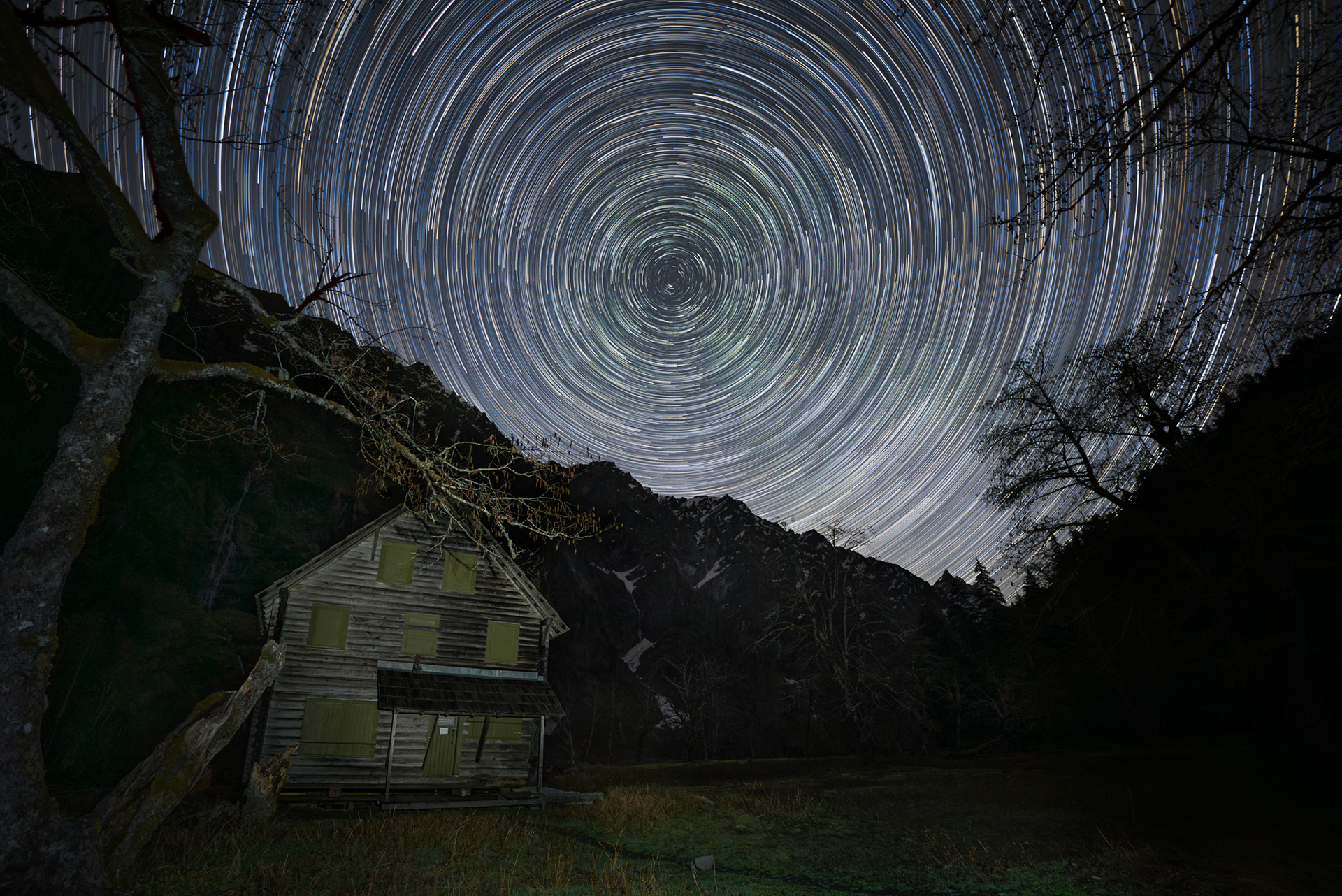 Enchanting Night