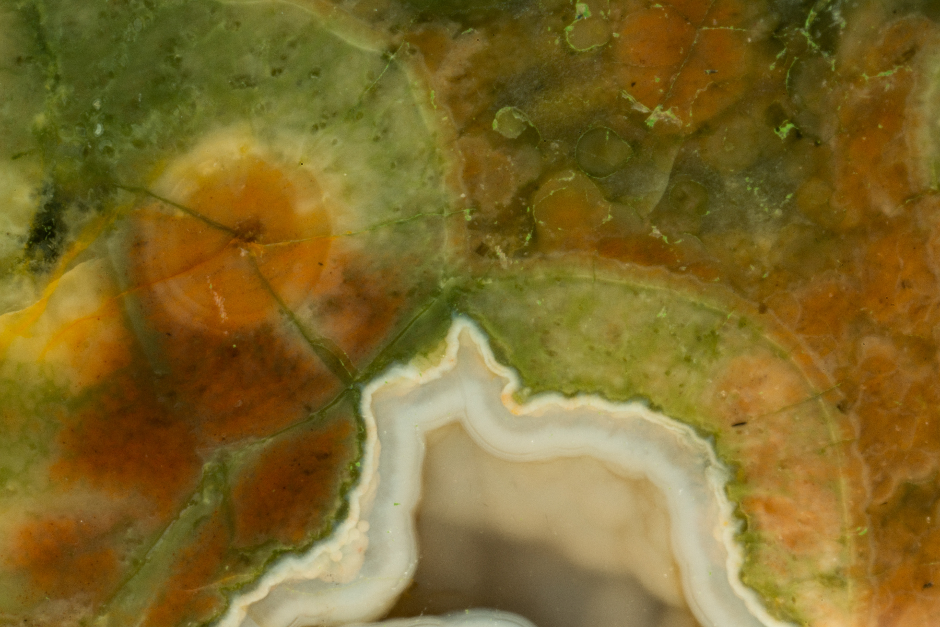 Ocean Jasper