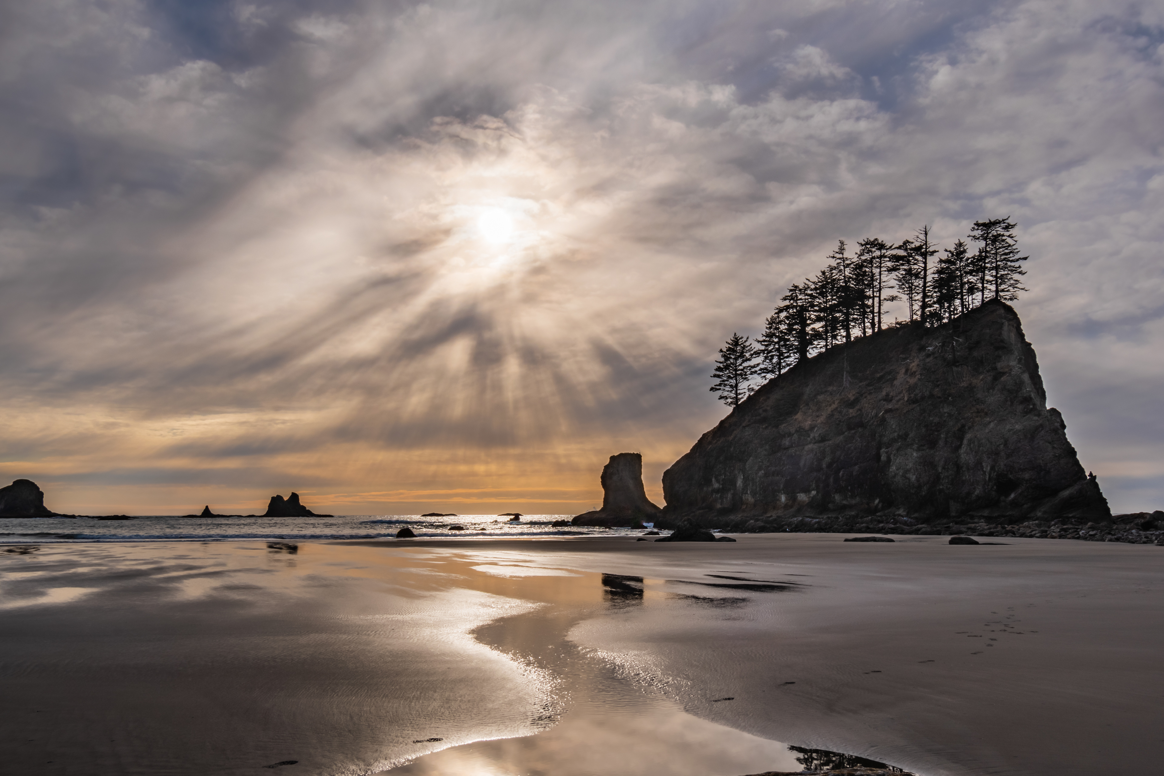 Beachy Rays