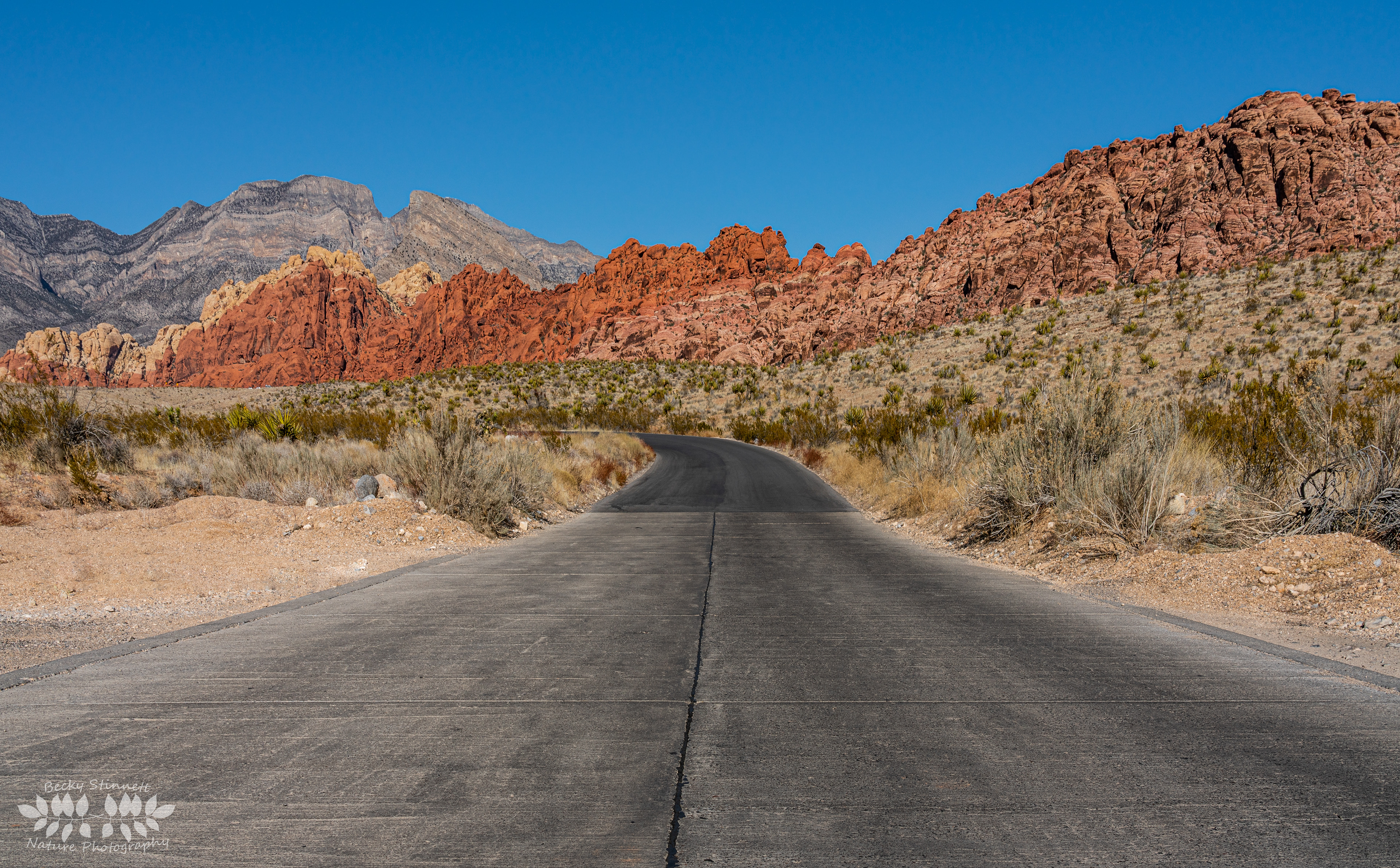 Road to the Red Rocks
