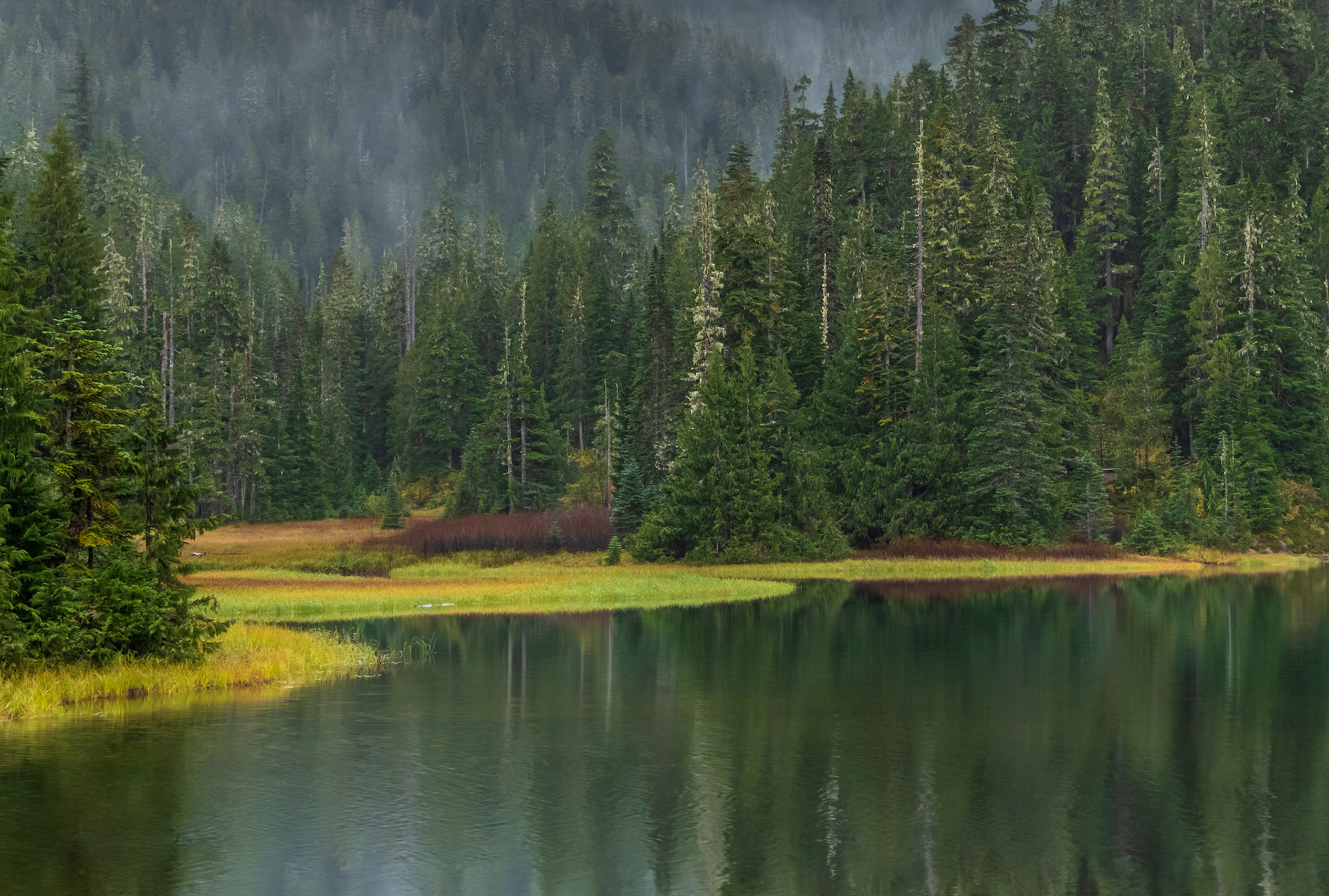 Deer Lake