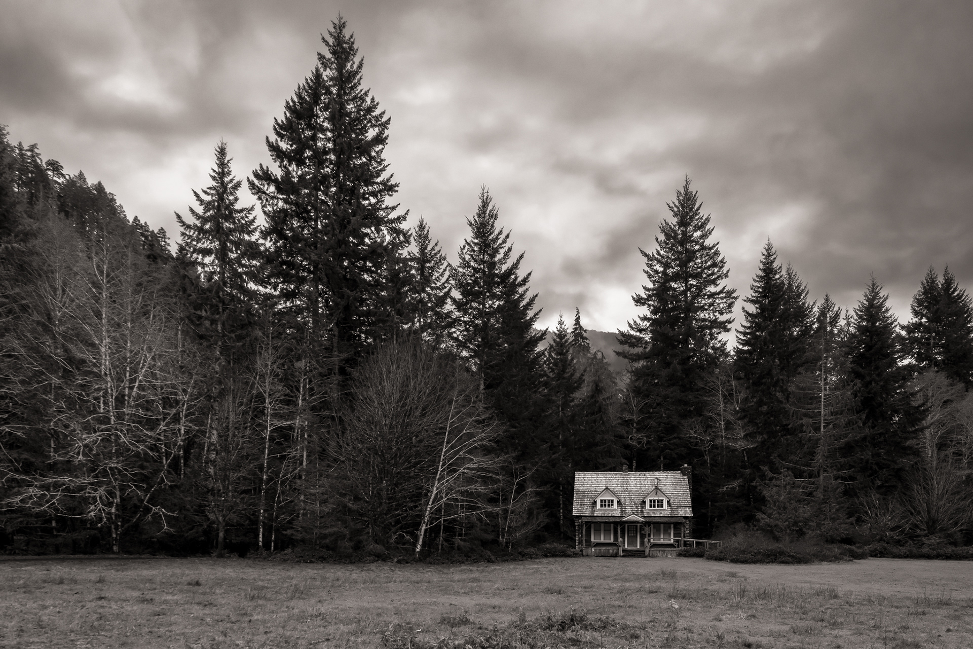 The Cabin
