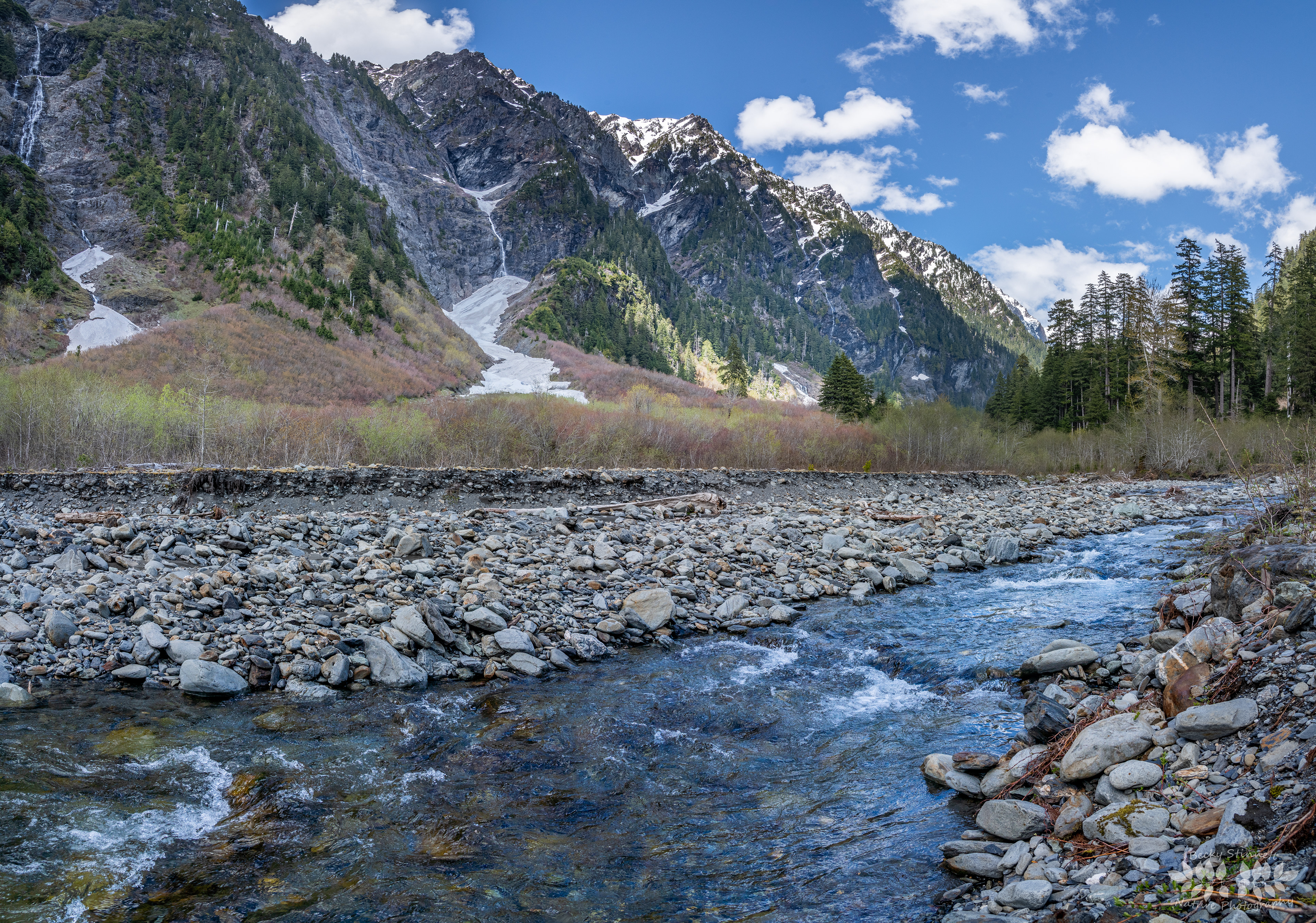 Quinault River