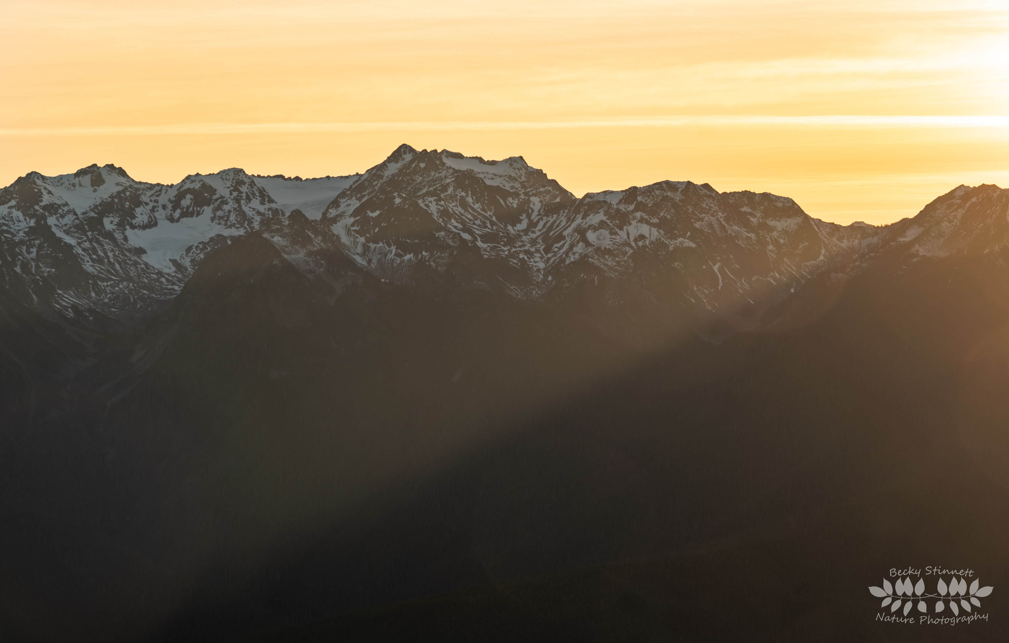 Sunset Beams