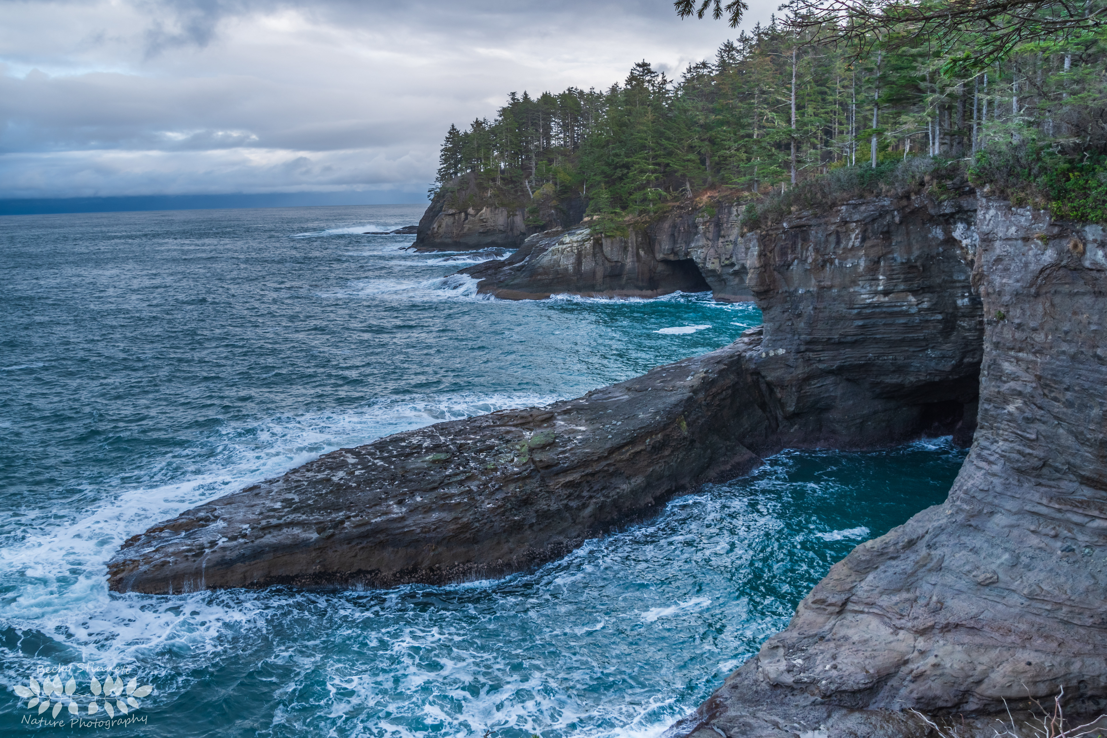 Sea Caves at Cape Flattery