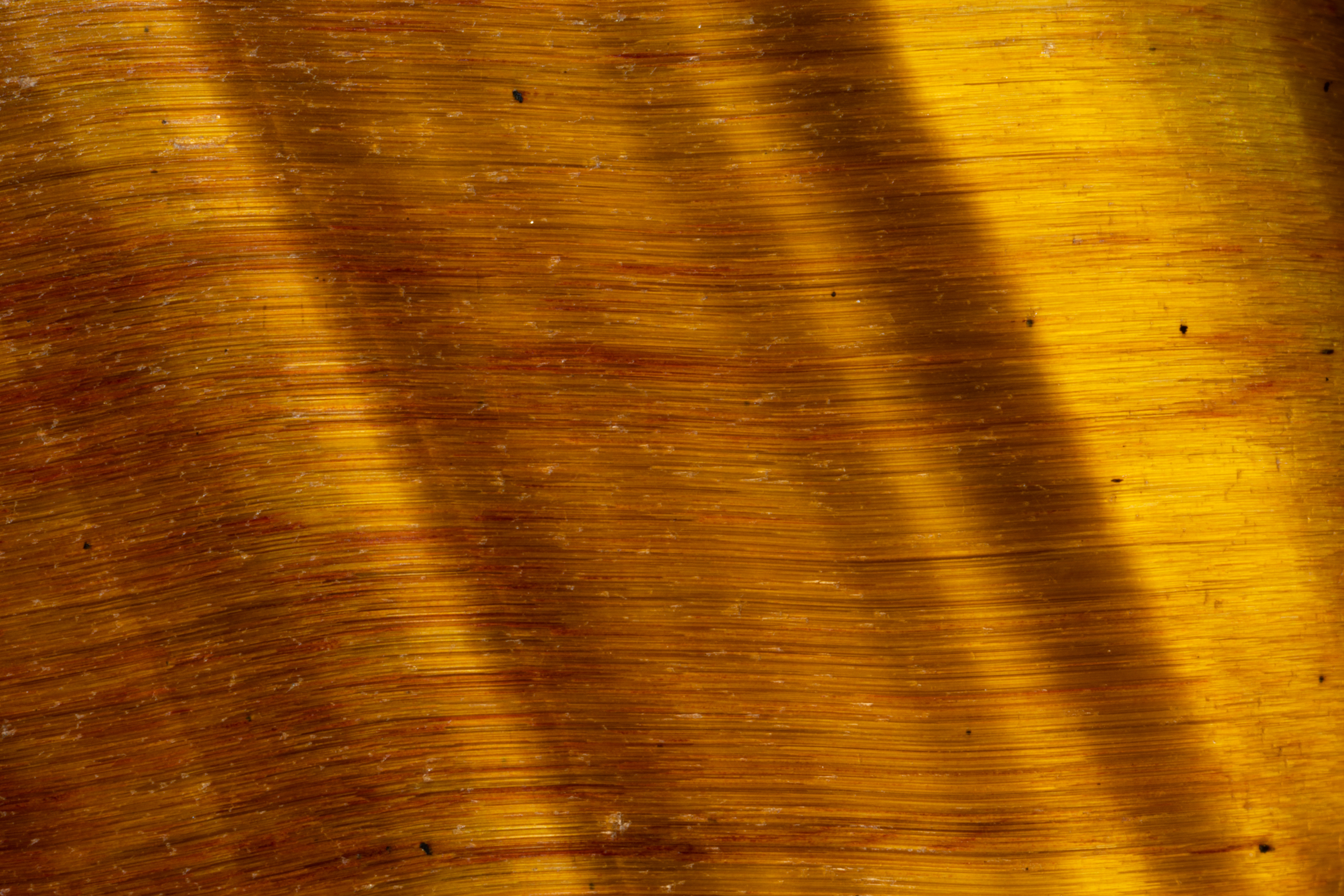 Tiger Eye
