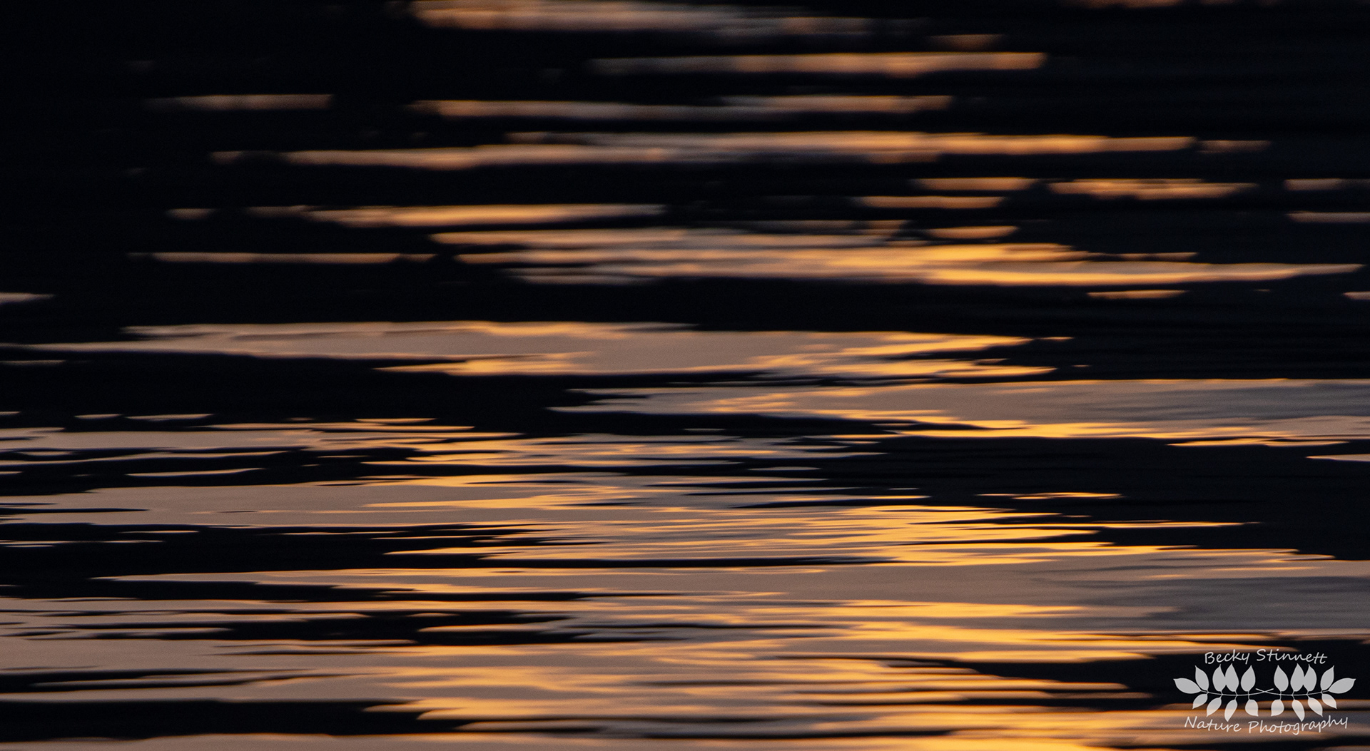 Sunrise Color - Abstract