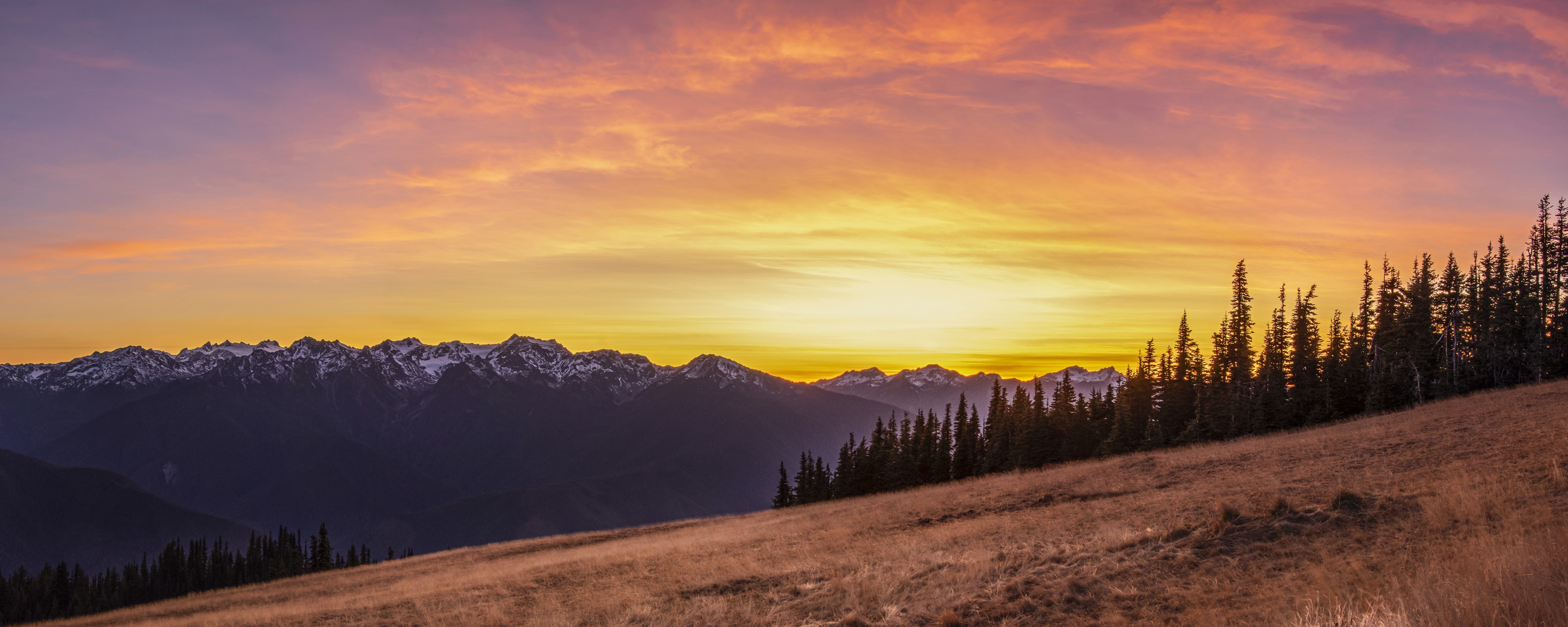 Hurricane Ridge Sunset - Panoramic