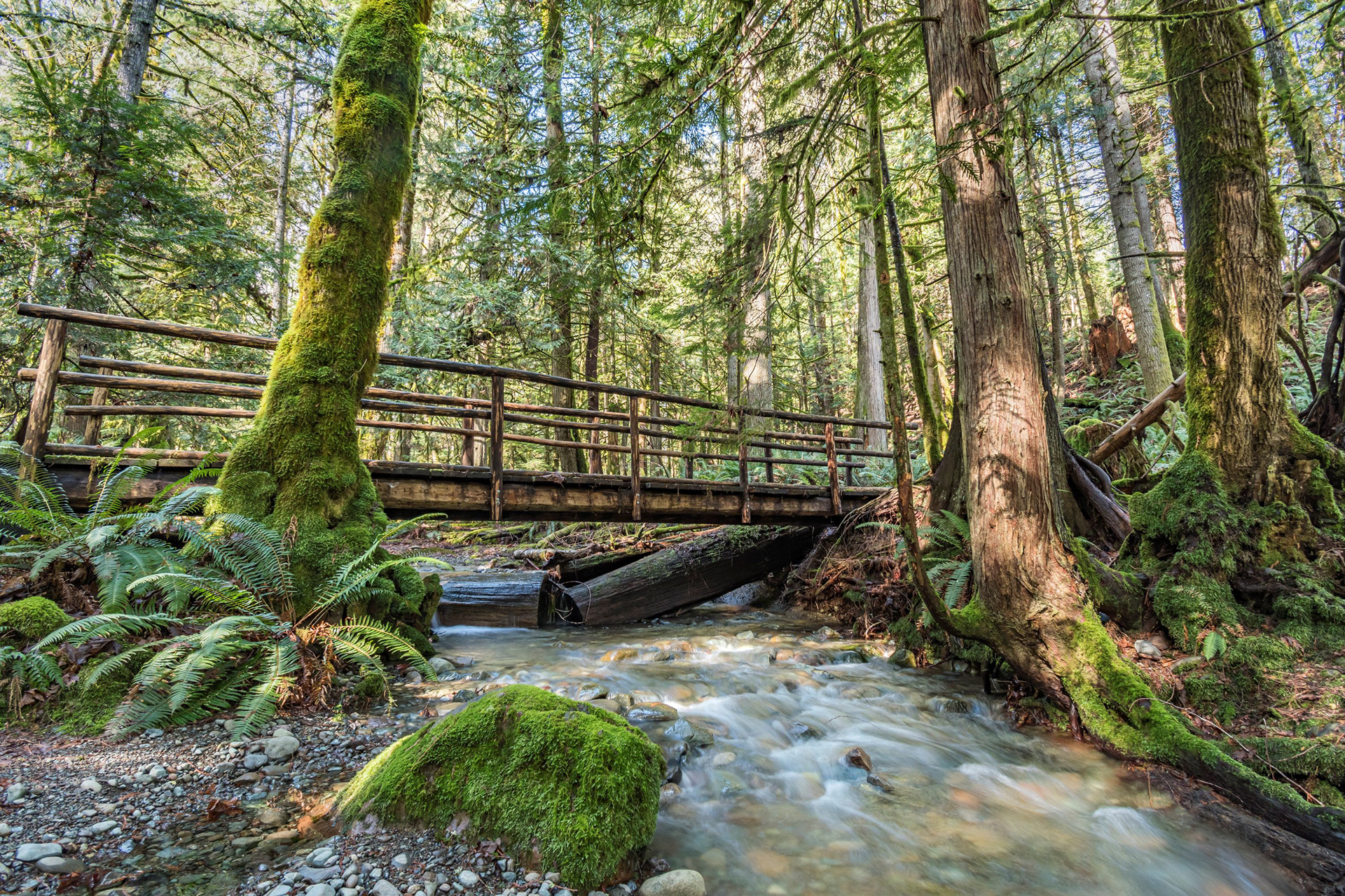 Dosewallips State Park