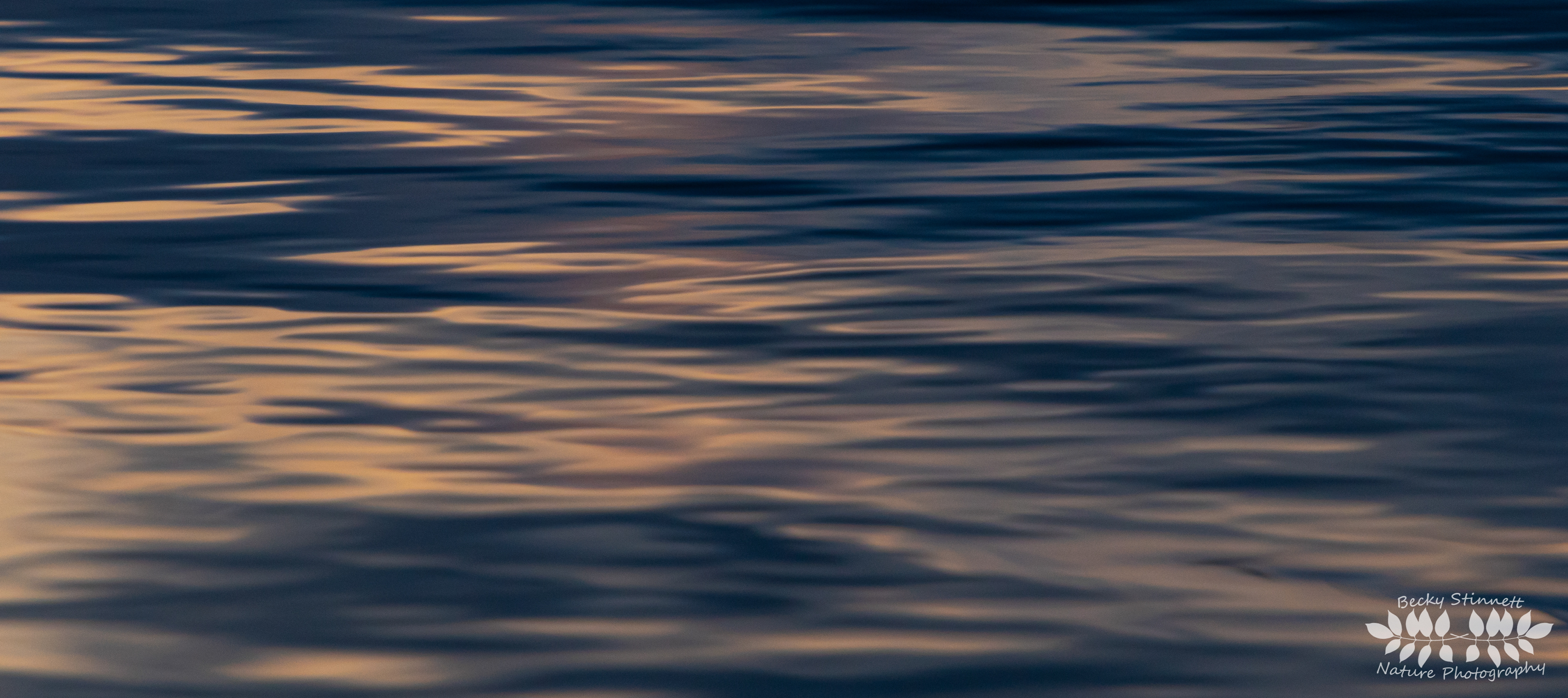 The Lake - Abstract