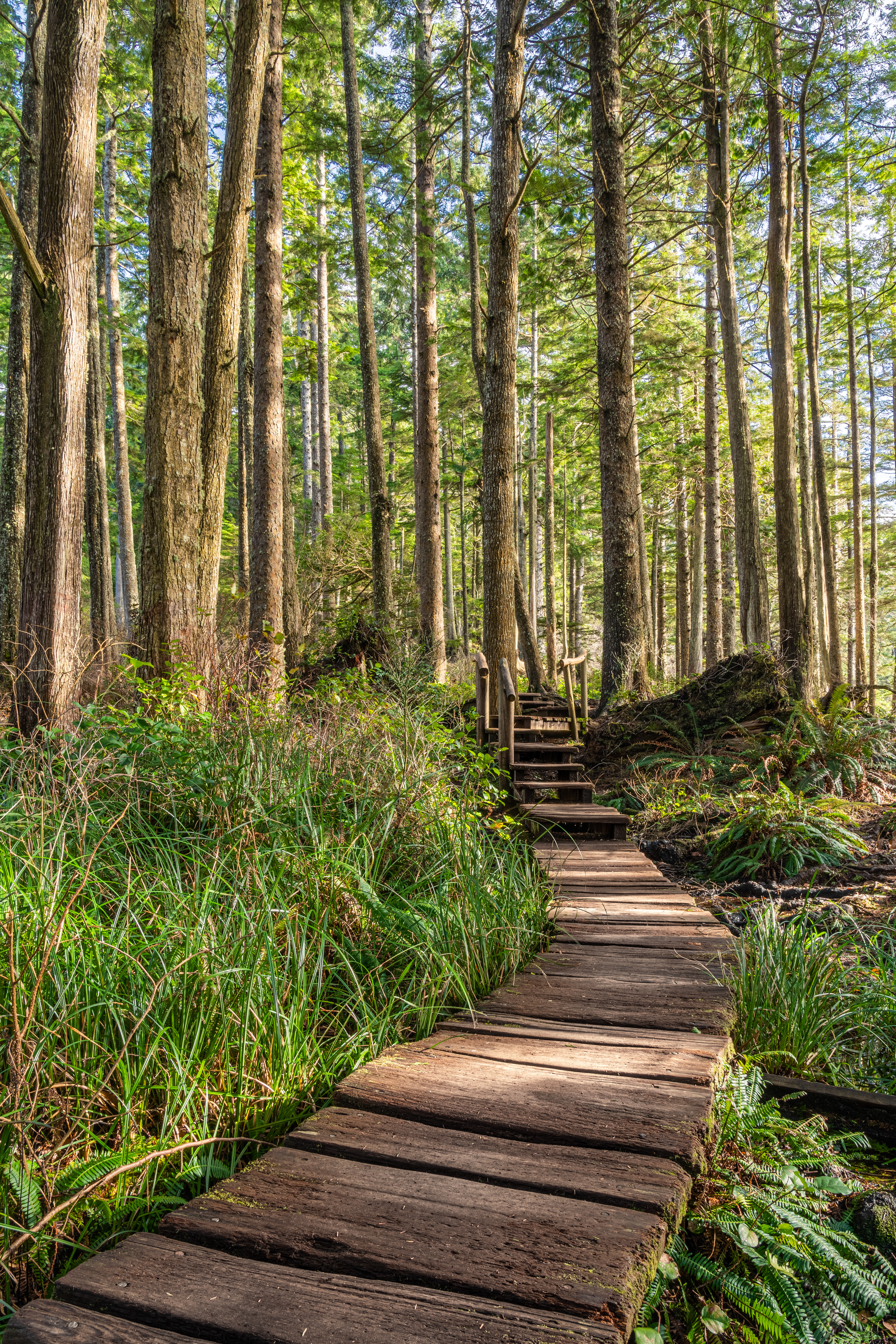 Cape Flattery