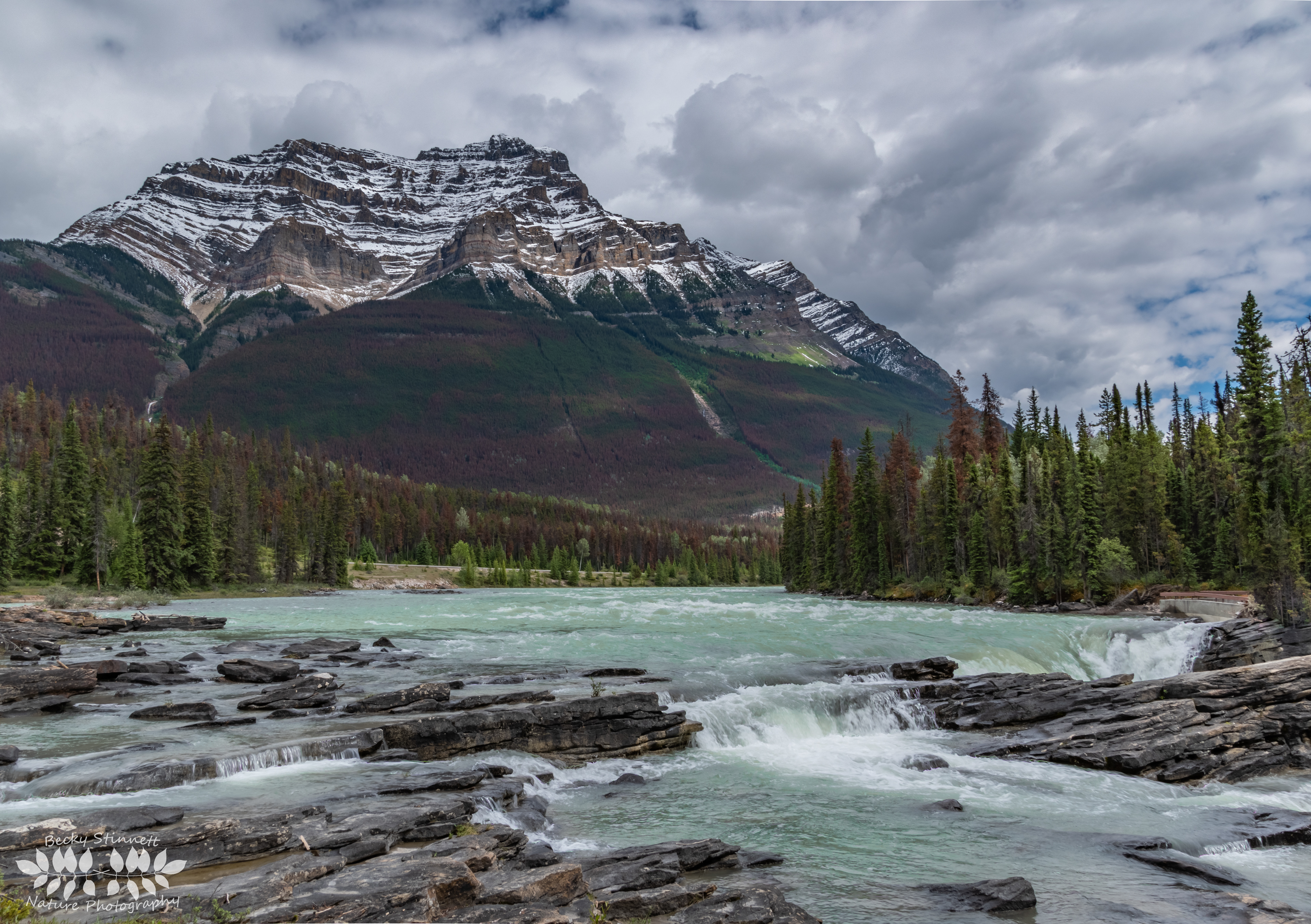 Athabasca Falls