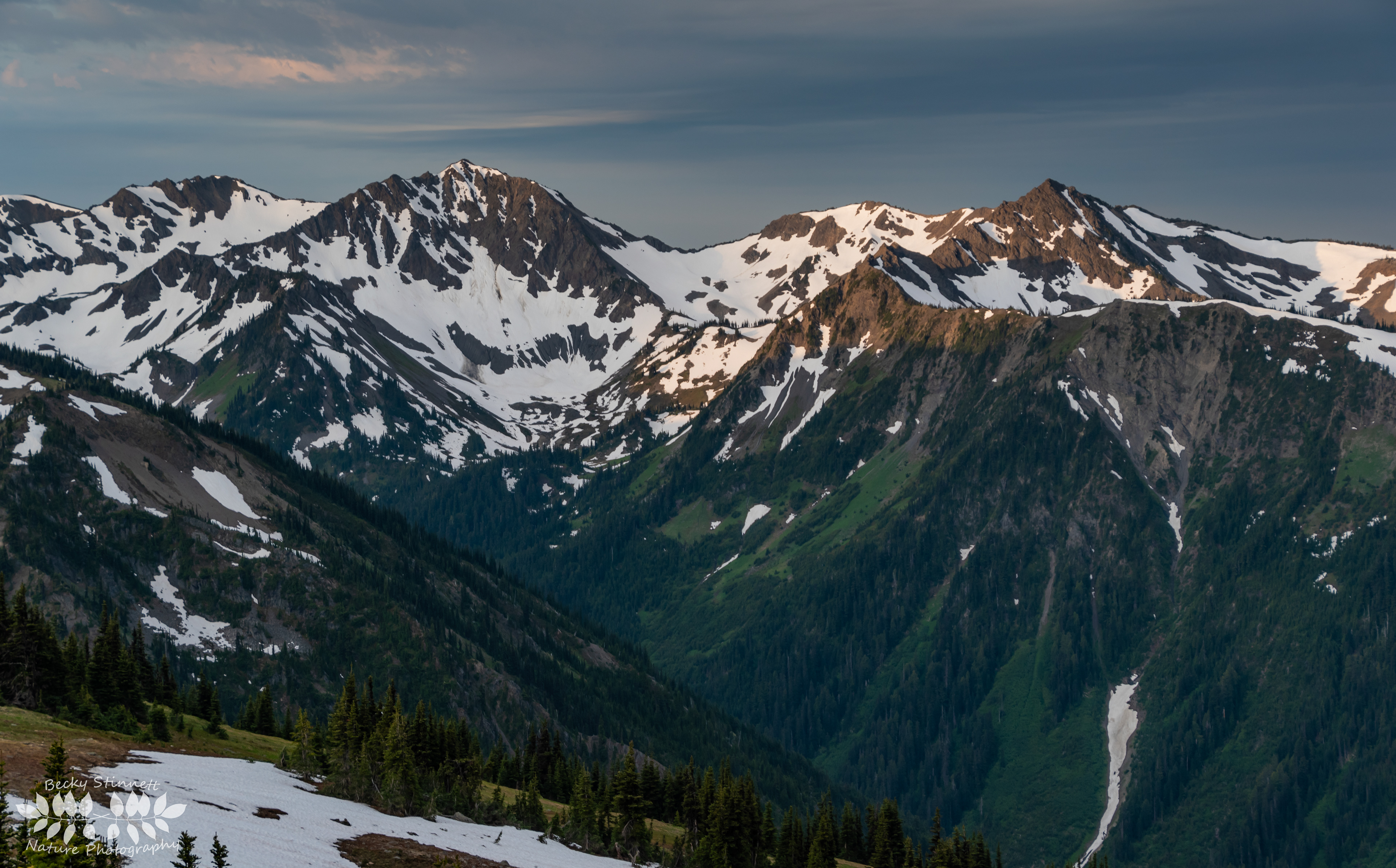 Unobstructed Views