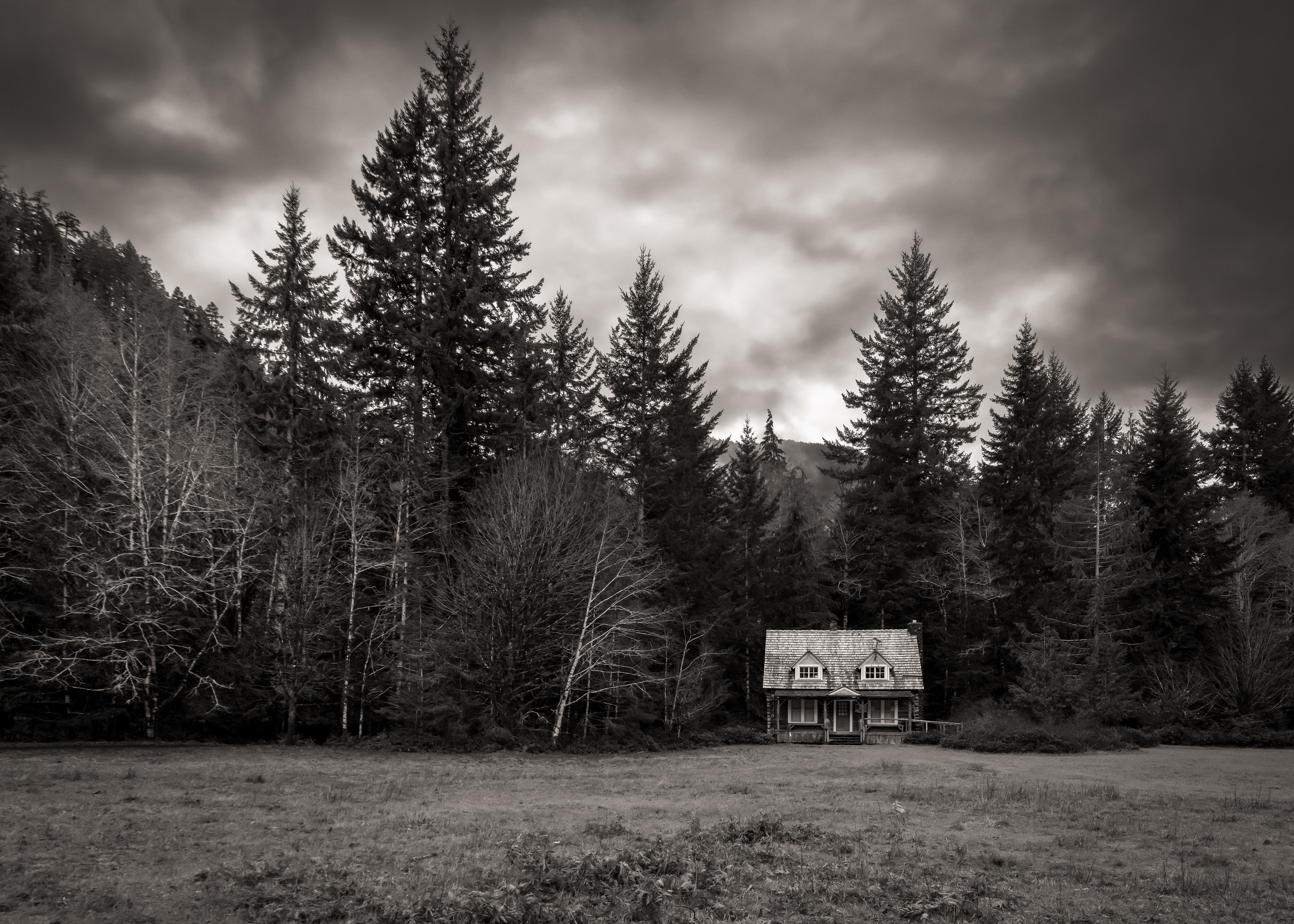 The Cabin