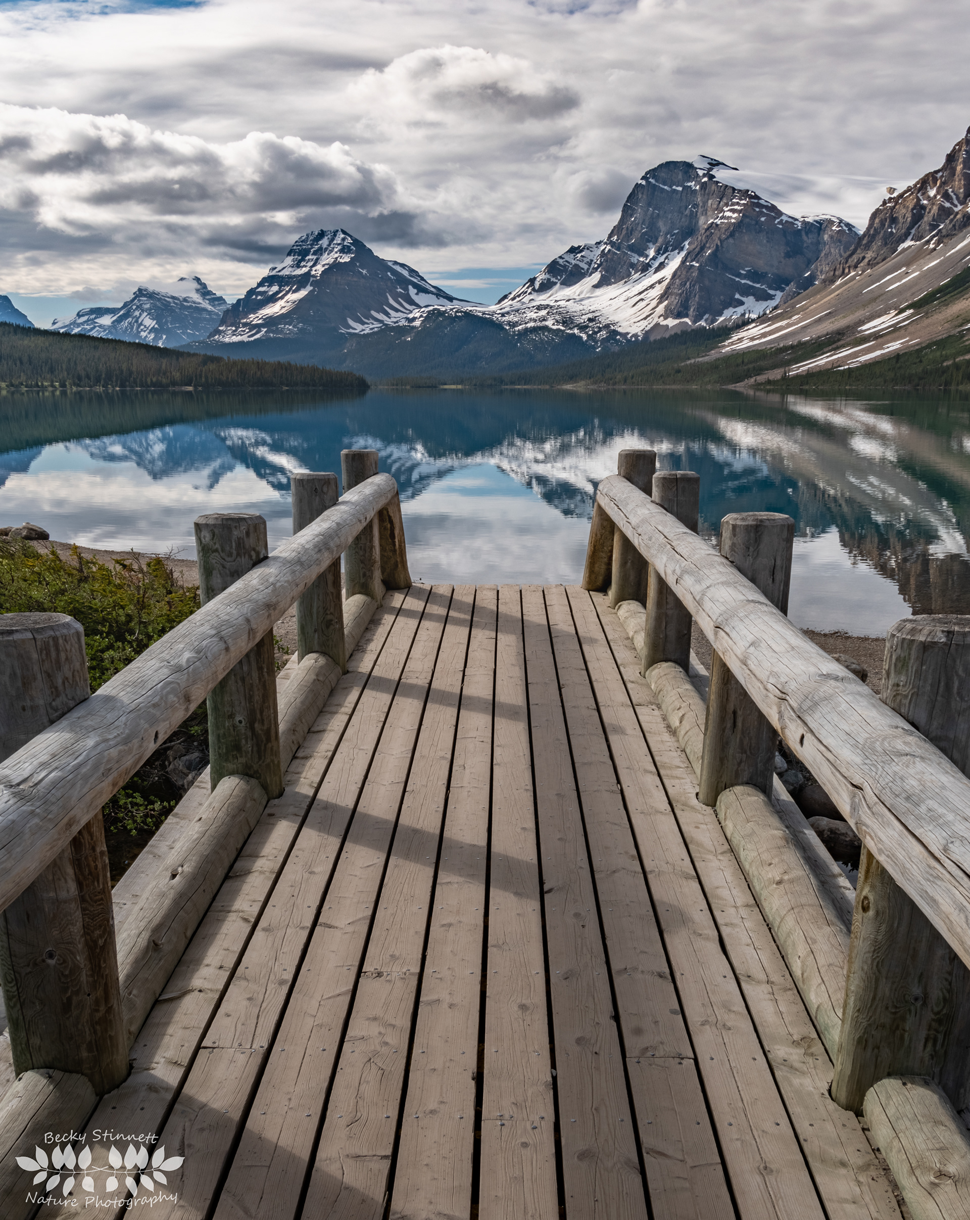Bow Lake Bridge