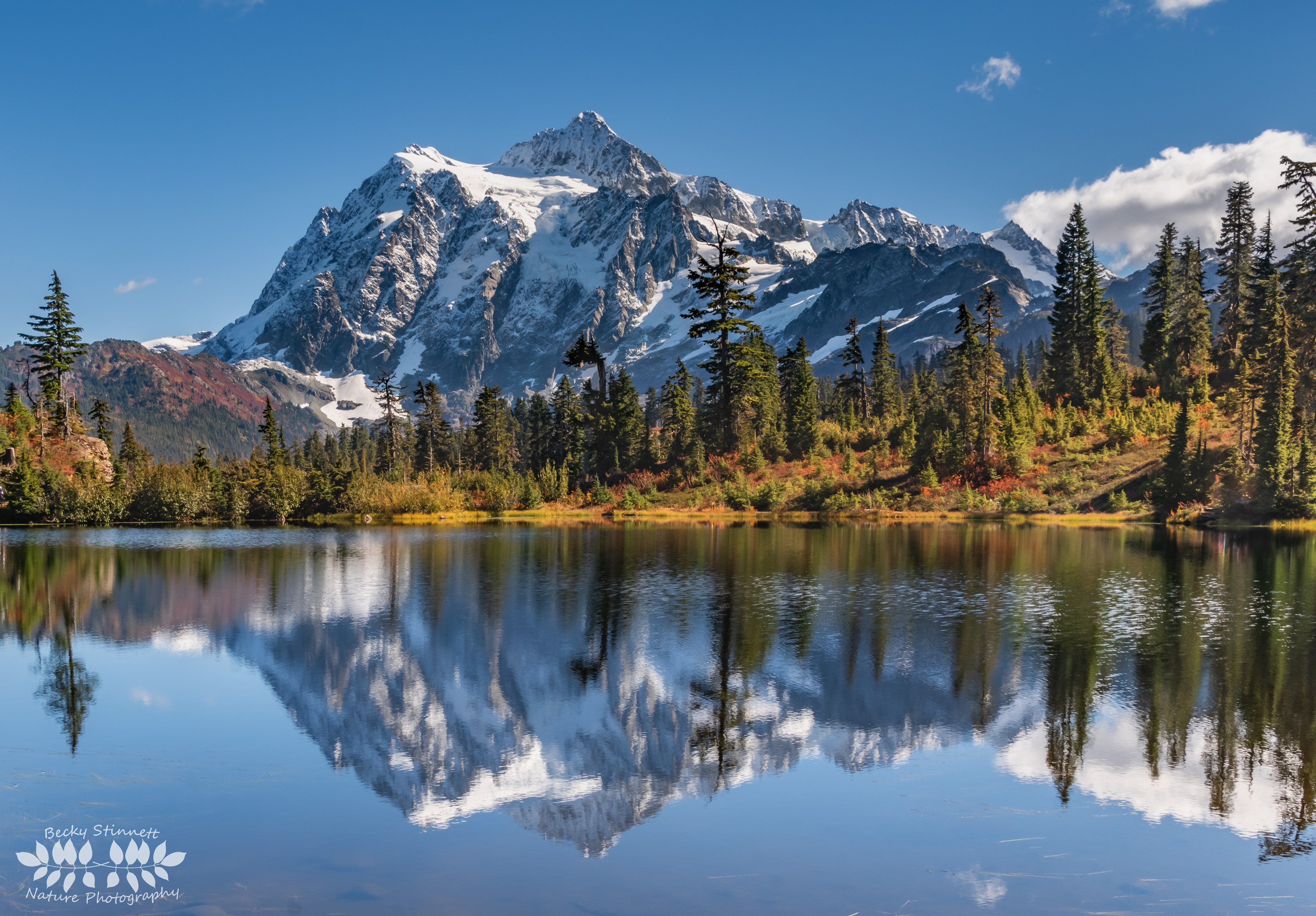 Picture Lake