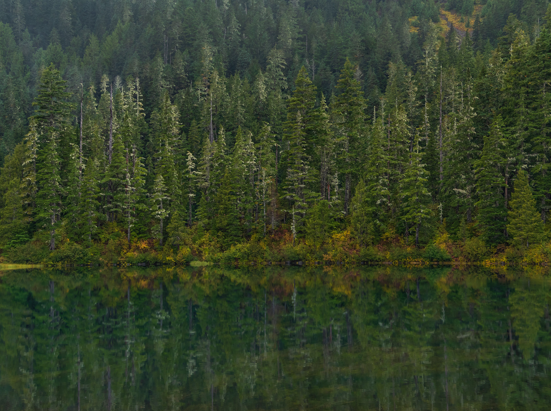Autumn Shoreline Reflections