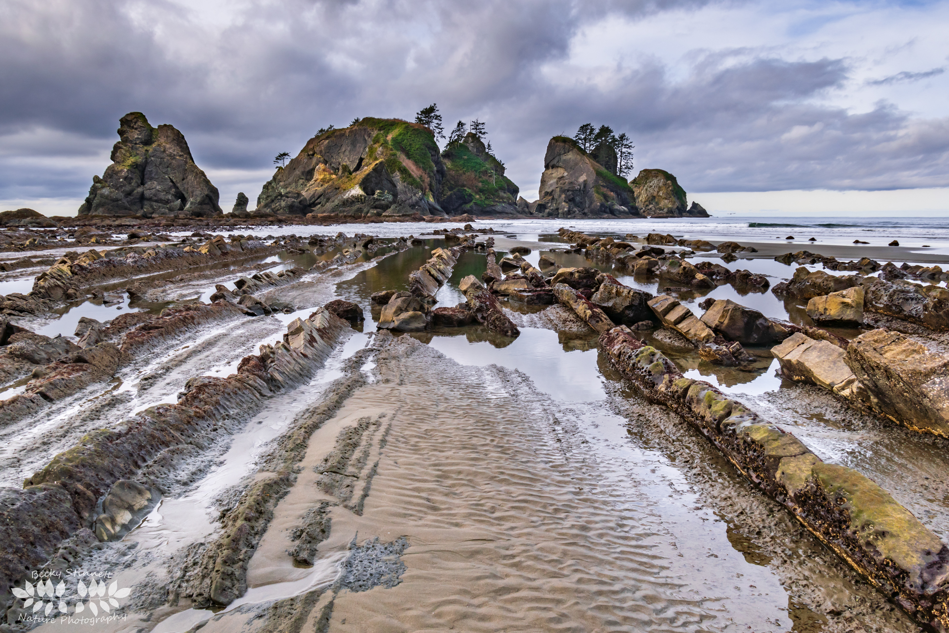 Point of the Arches