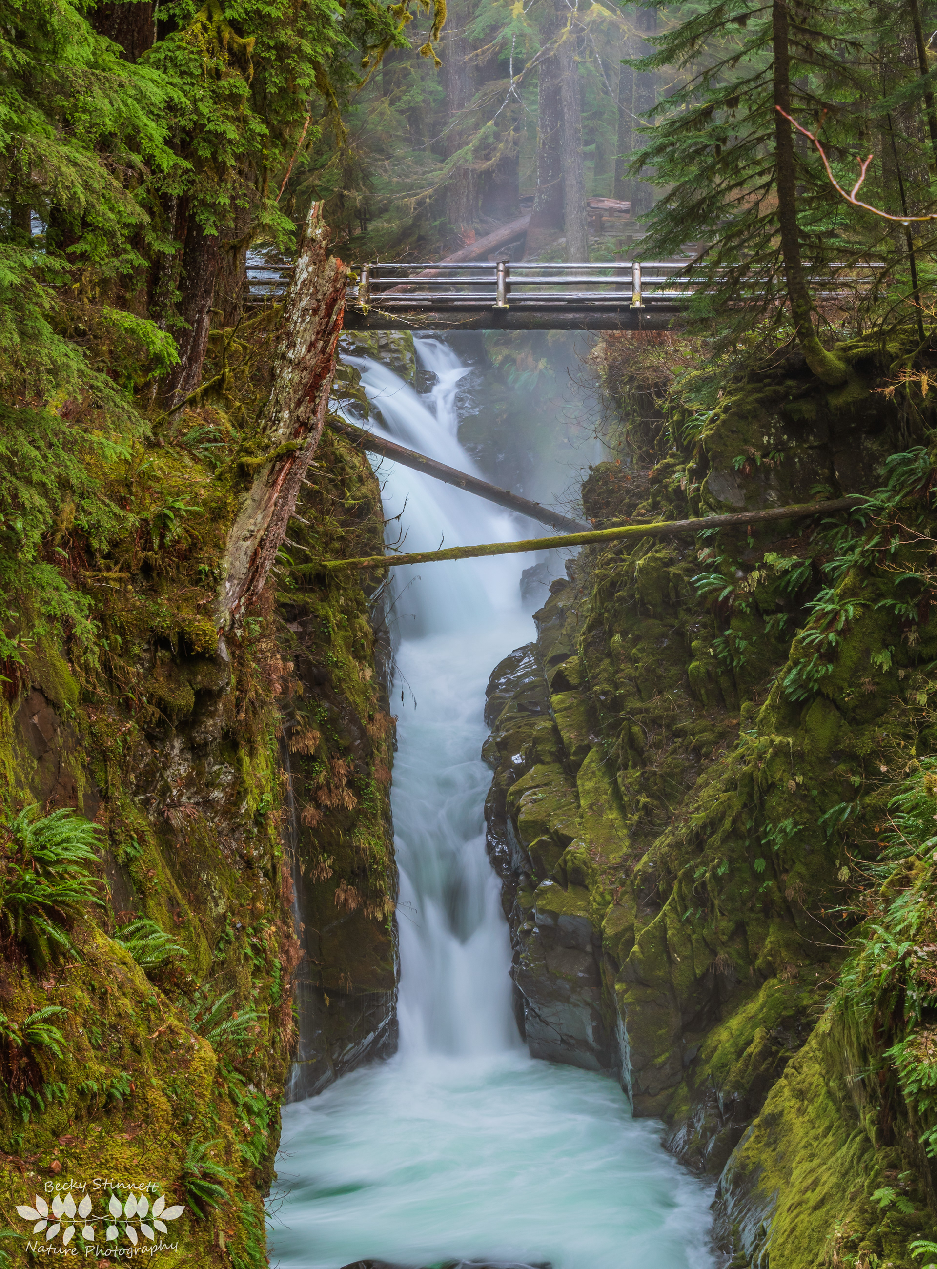 Sol Duc Falls