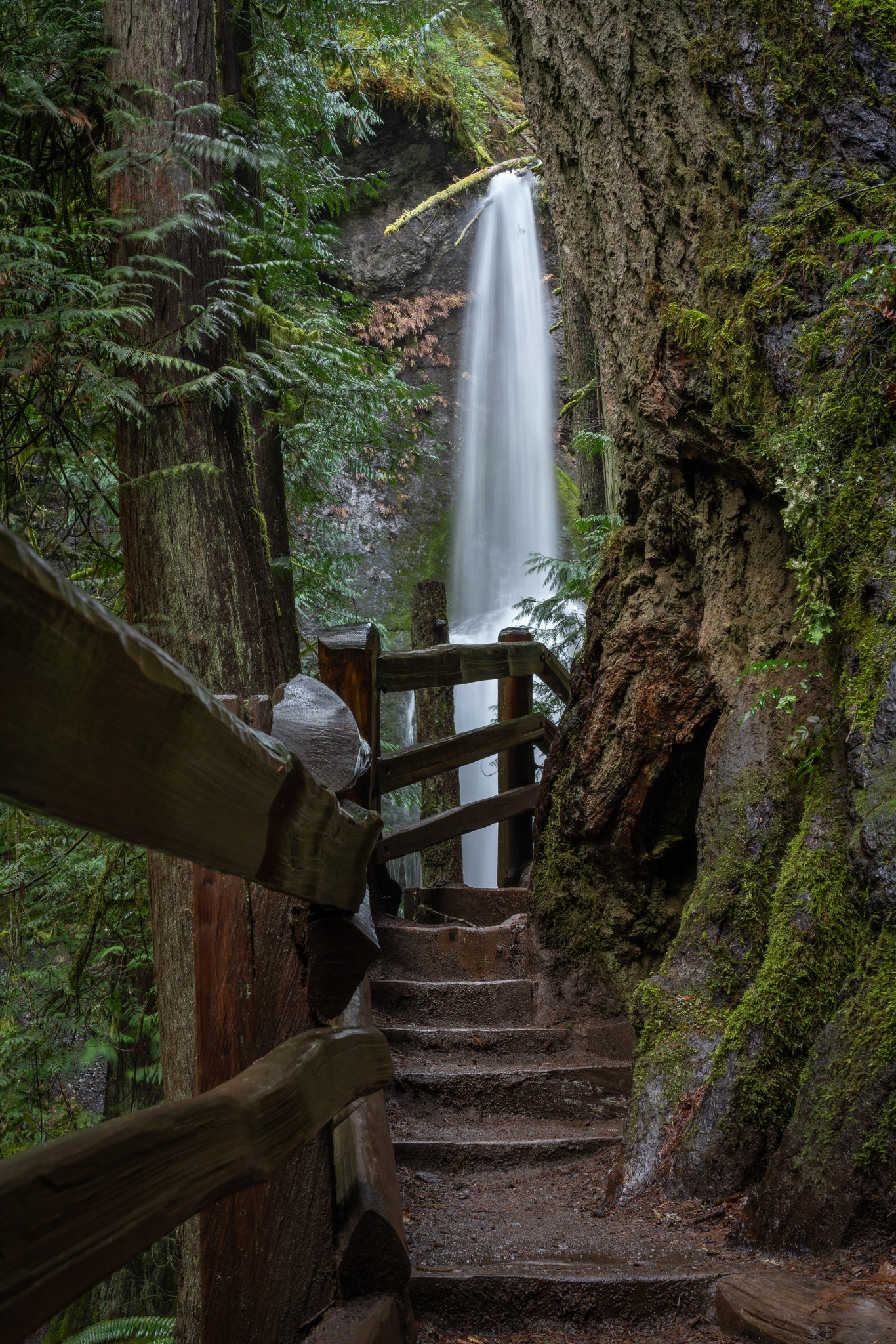 Path to Marymere