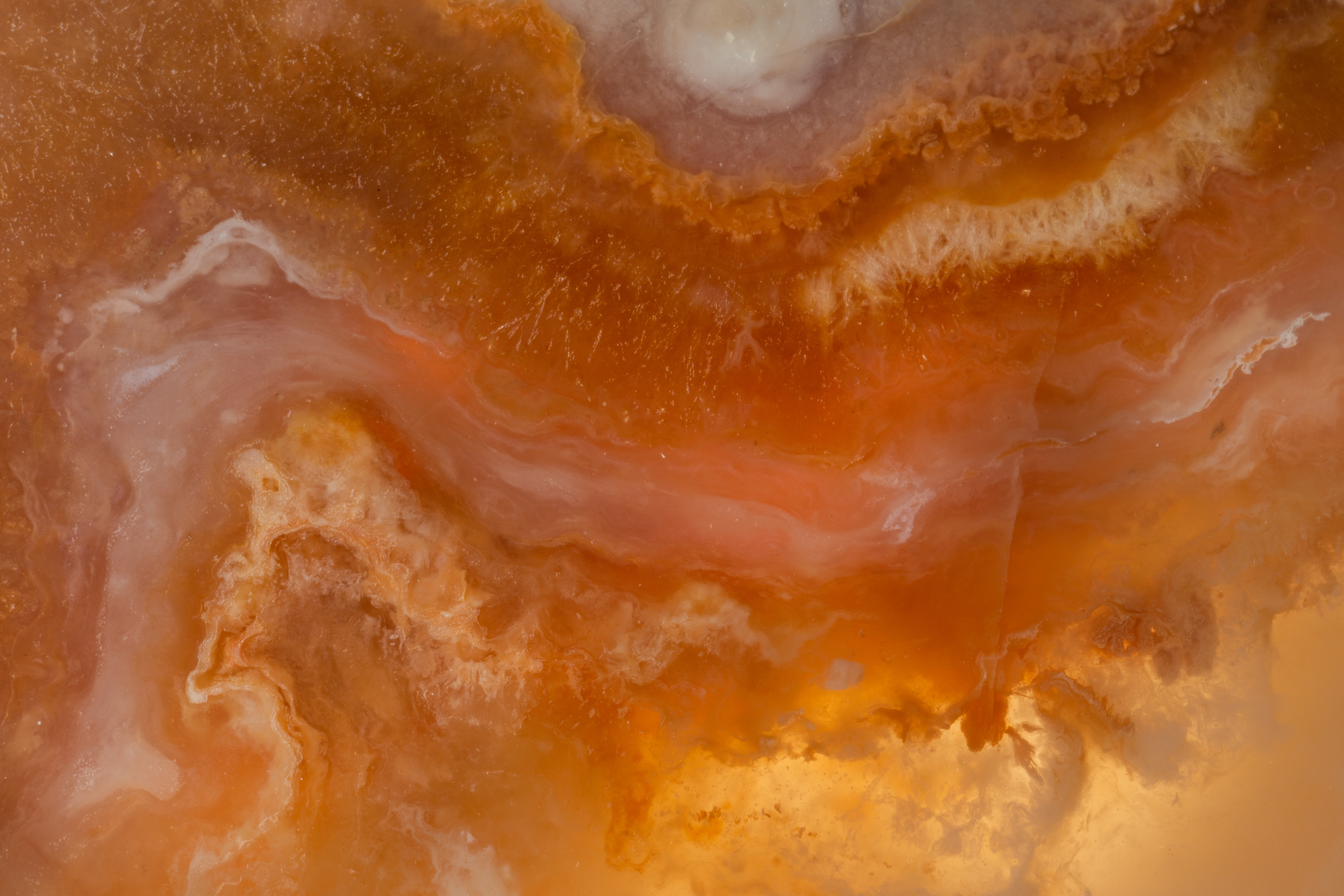 Arizona Plume Agate