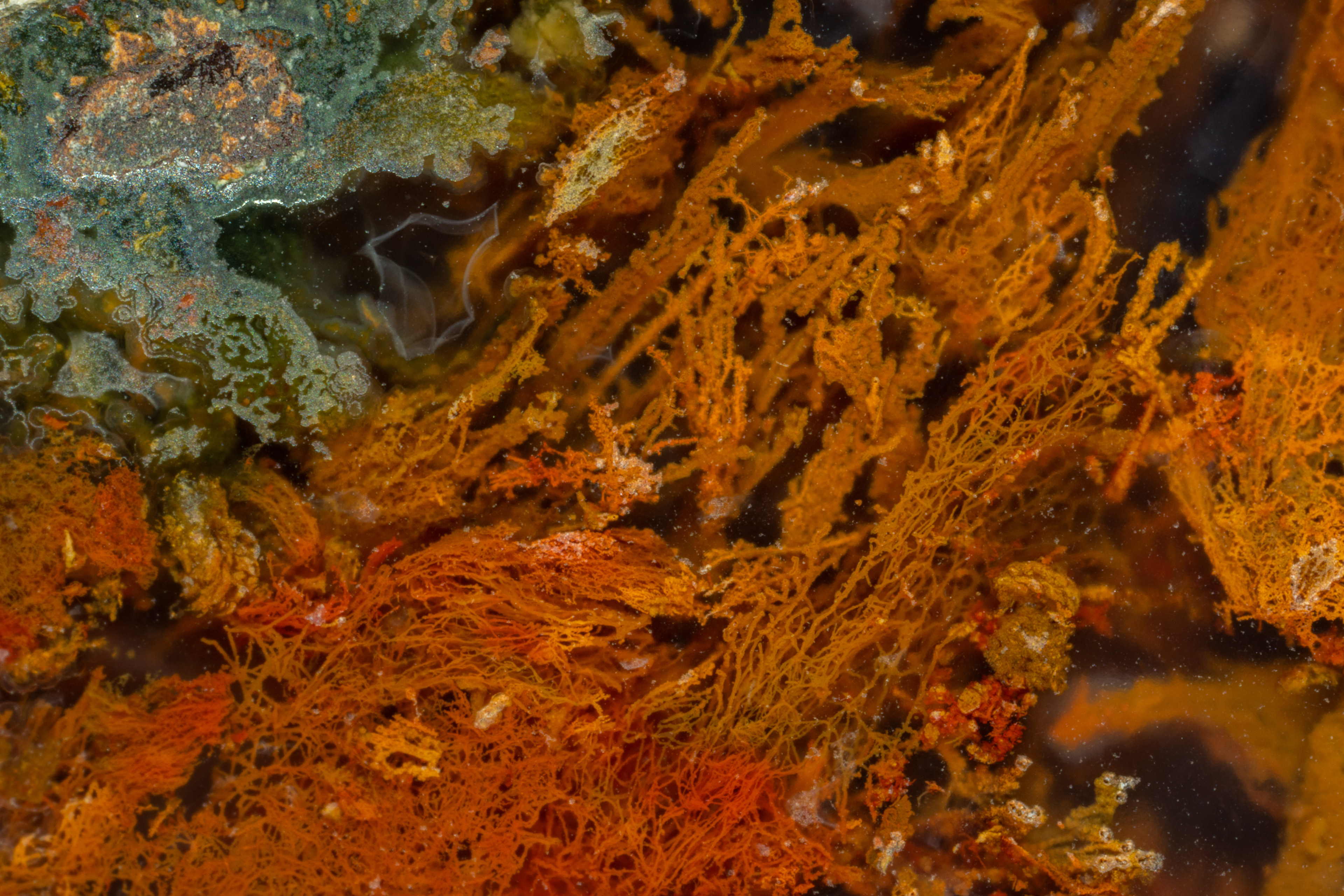 Moss Agate