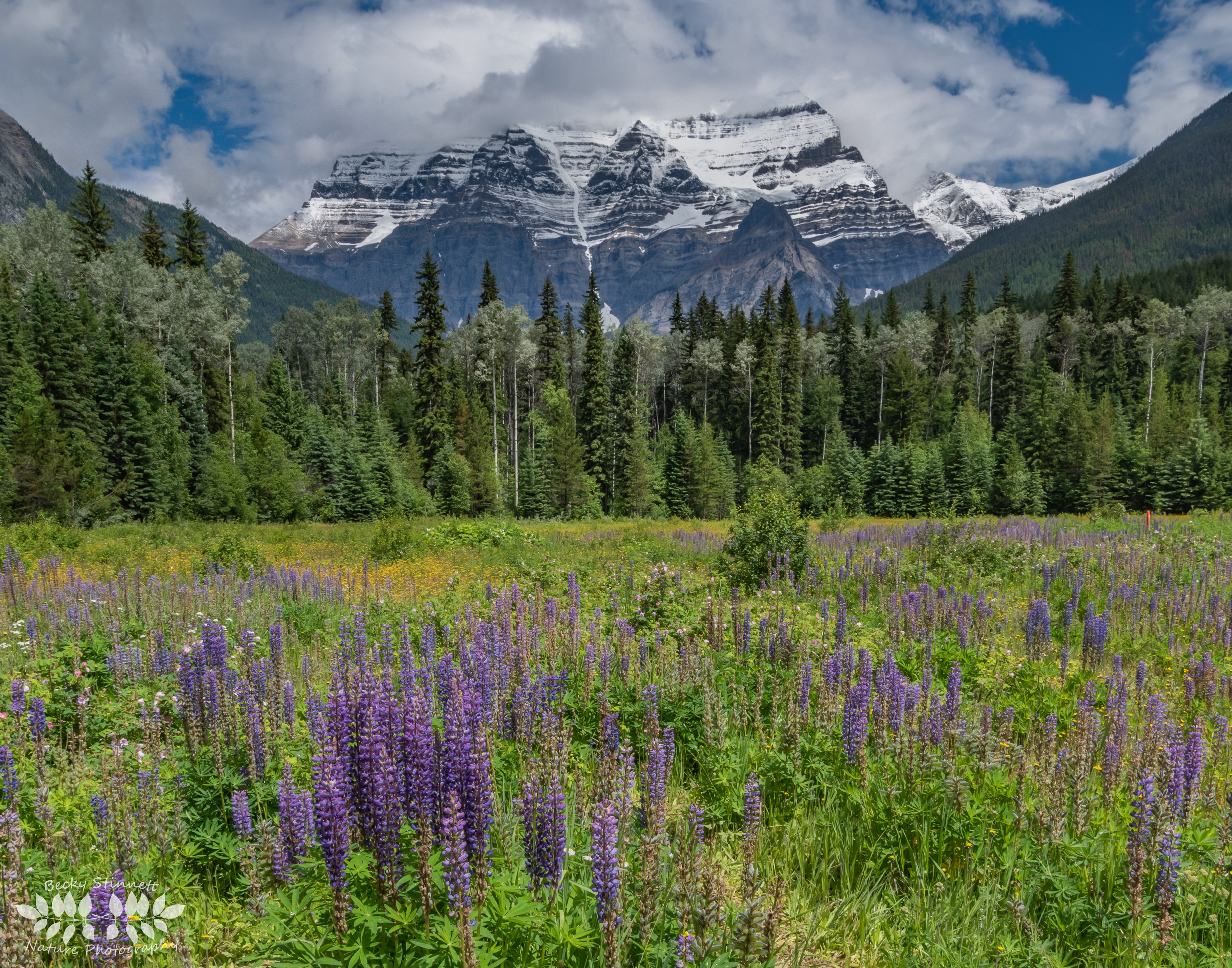 Mount Robson