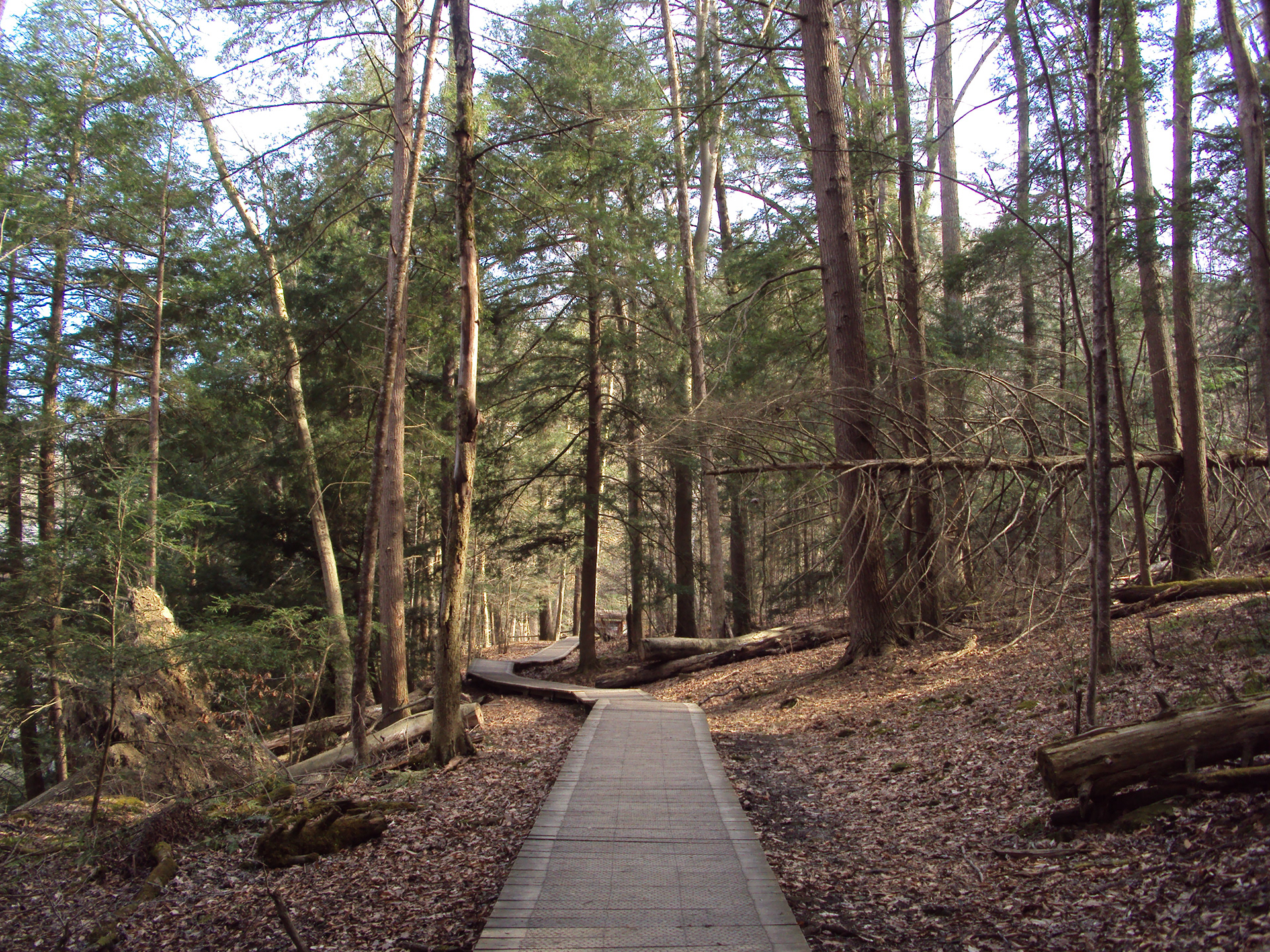 Path/Trail | Mohican State Park (2023)