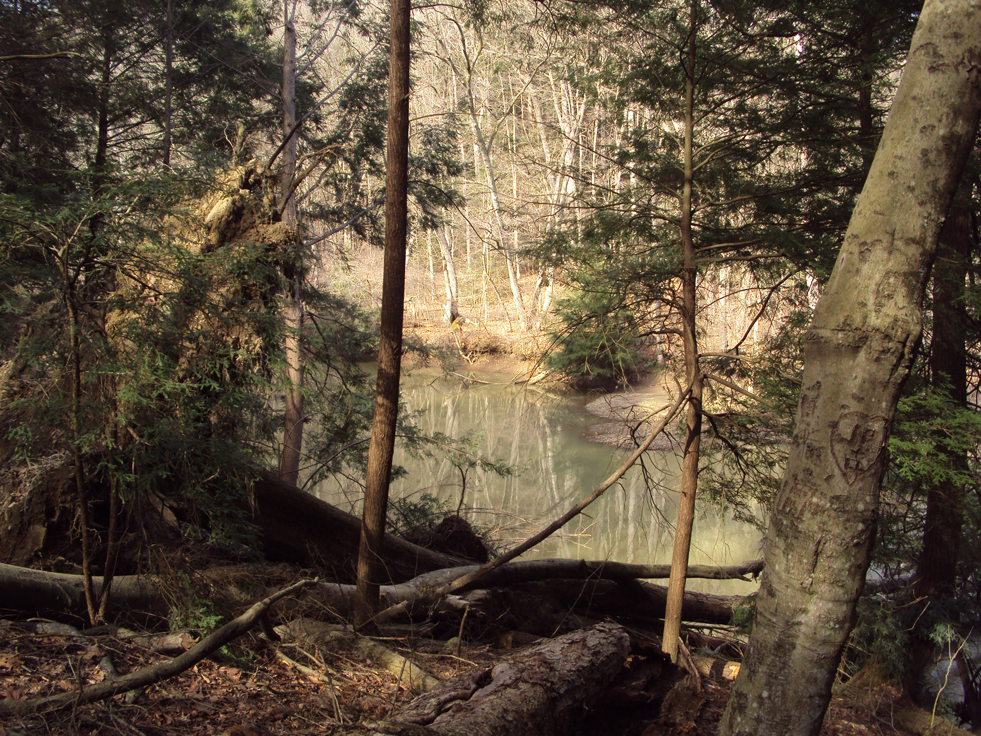 River | Mohican State Park (2023)