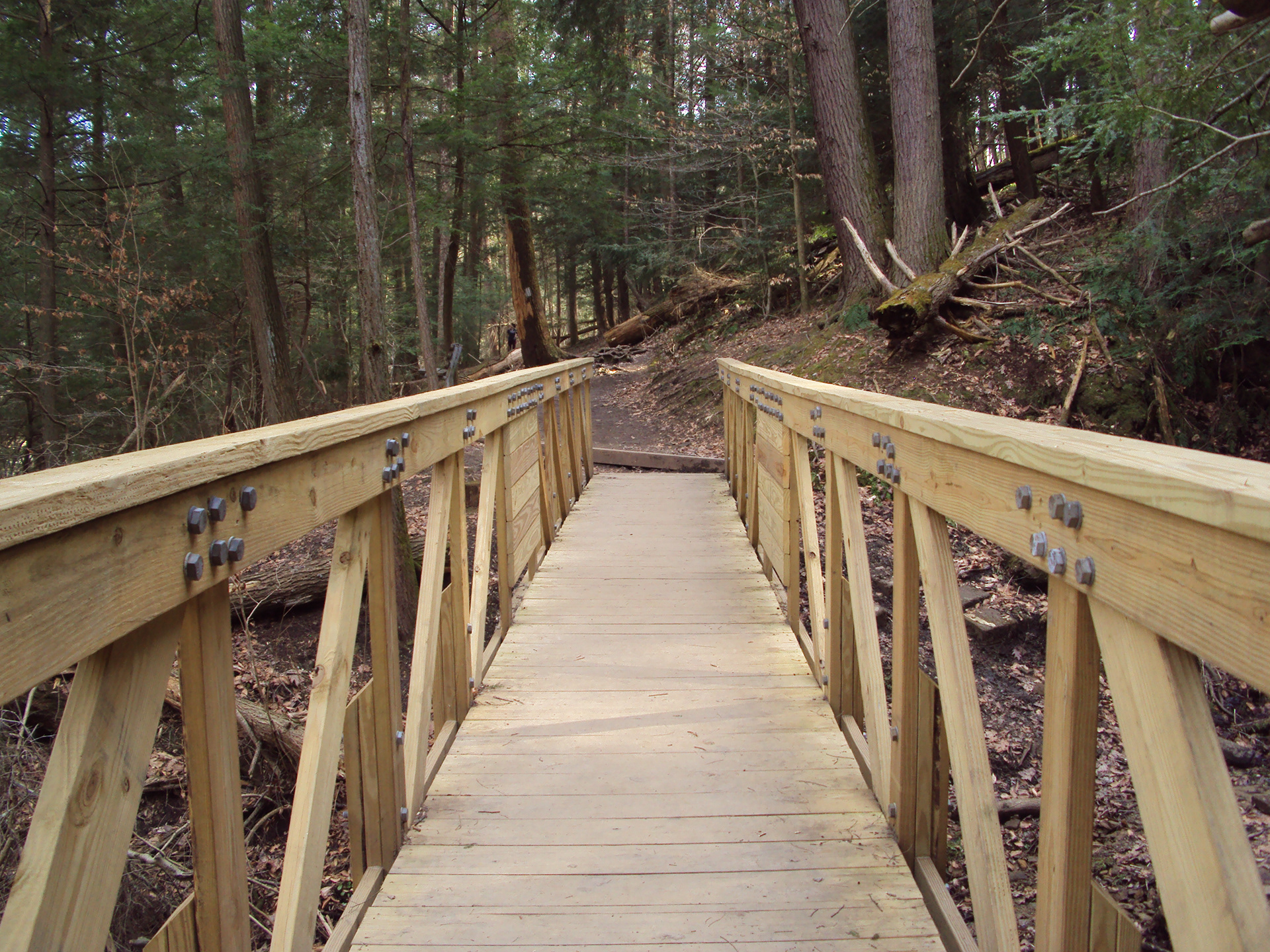 Bridge | Mohican State Park (2023)