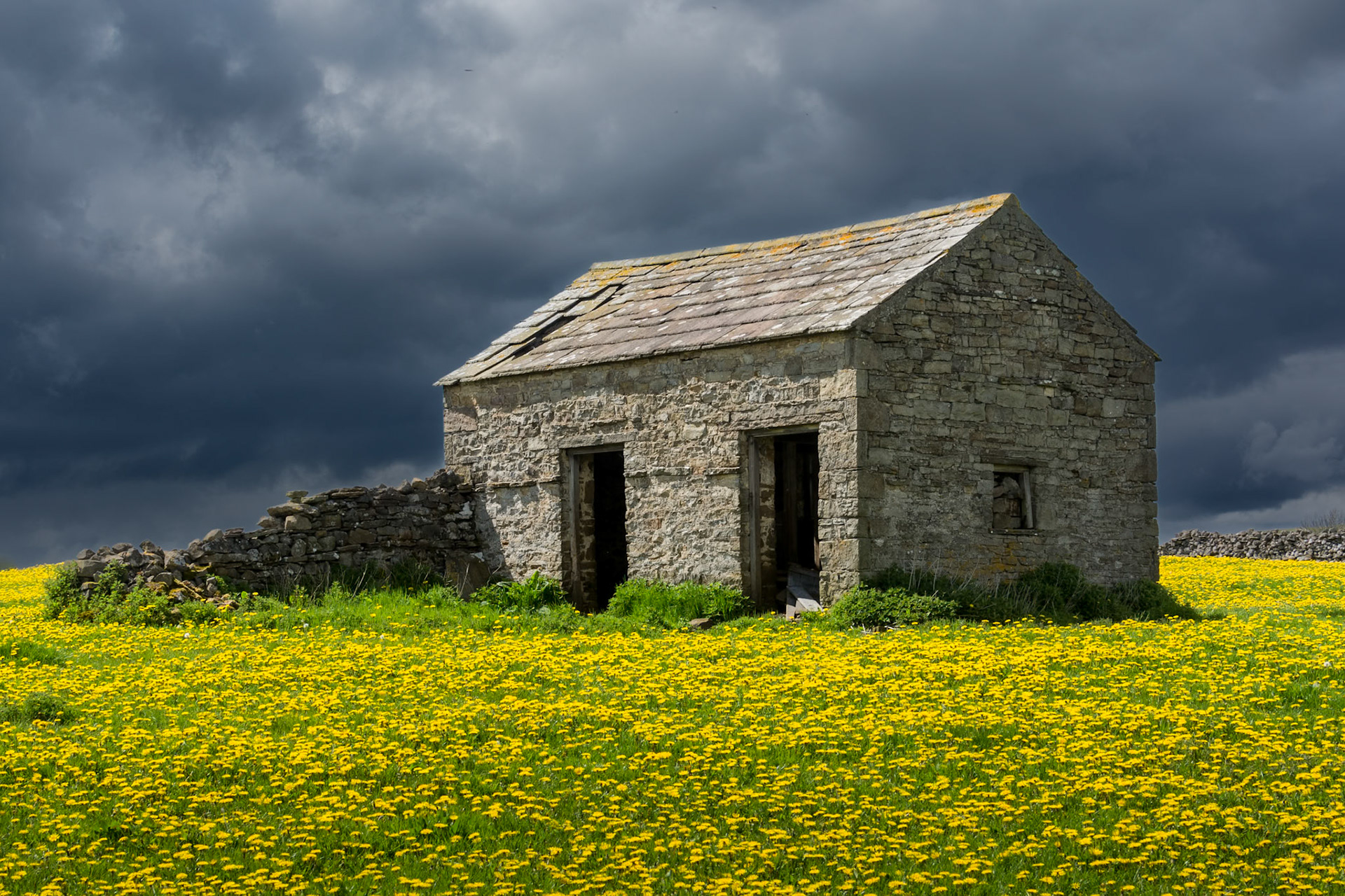 Field Barn in Carperby