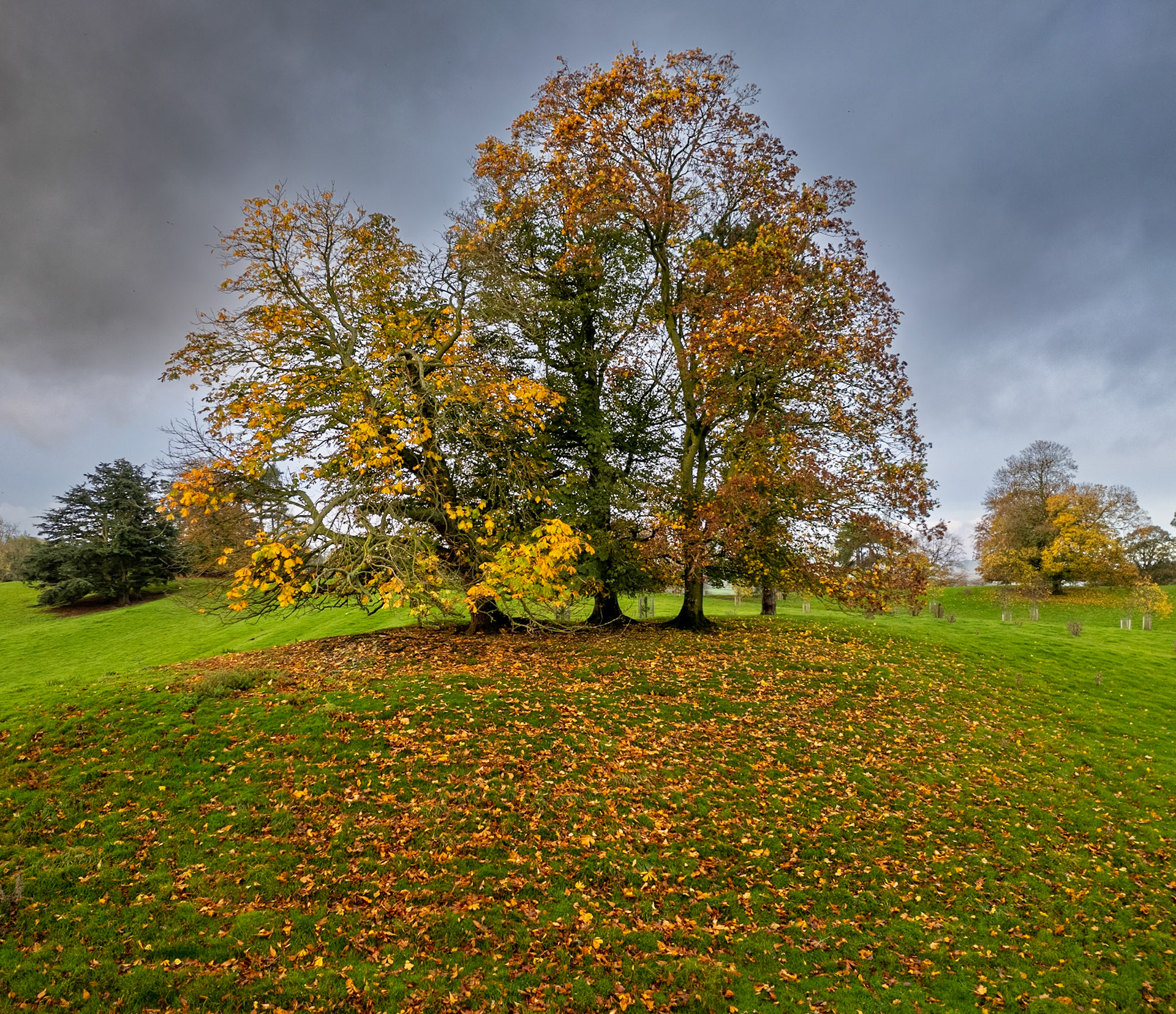Autumn Colours near Aysgarth