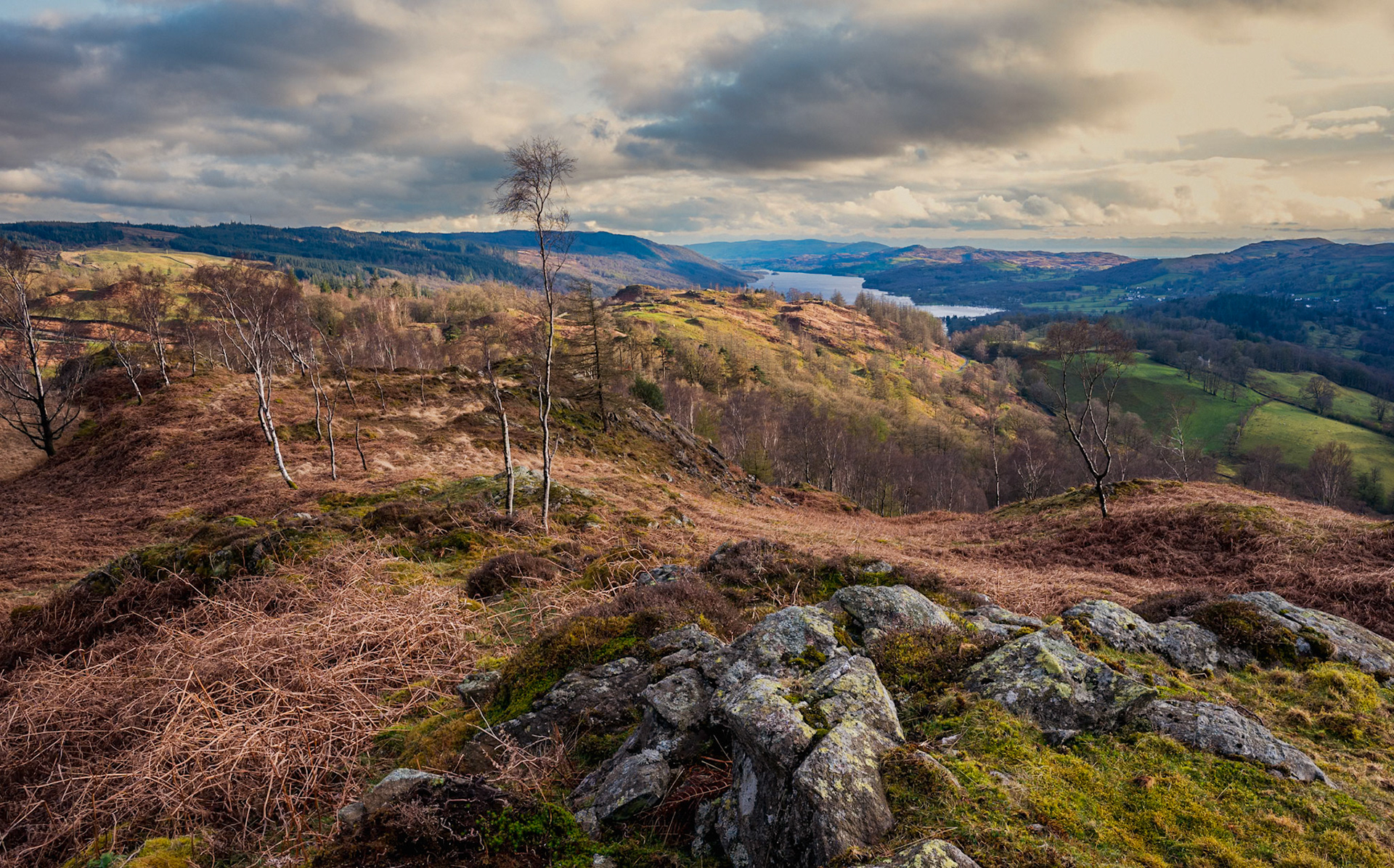 Coniston from Tarn Hows