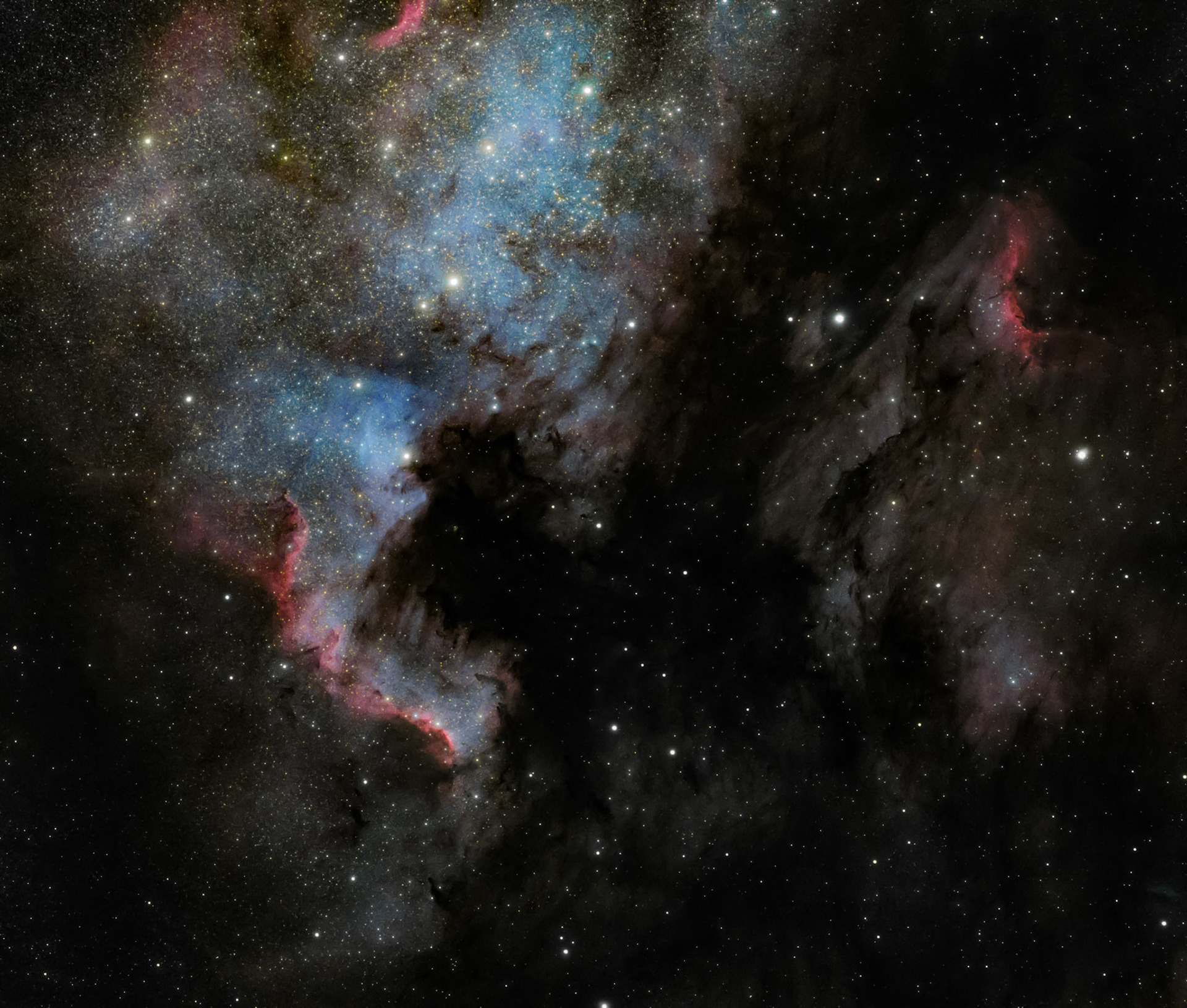 The North American Nebula in Cygnus