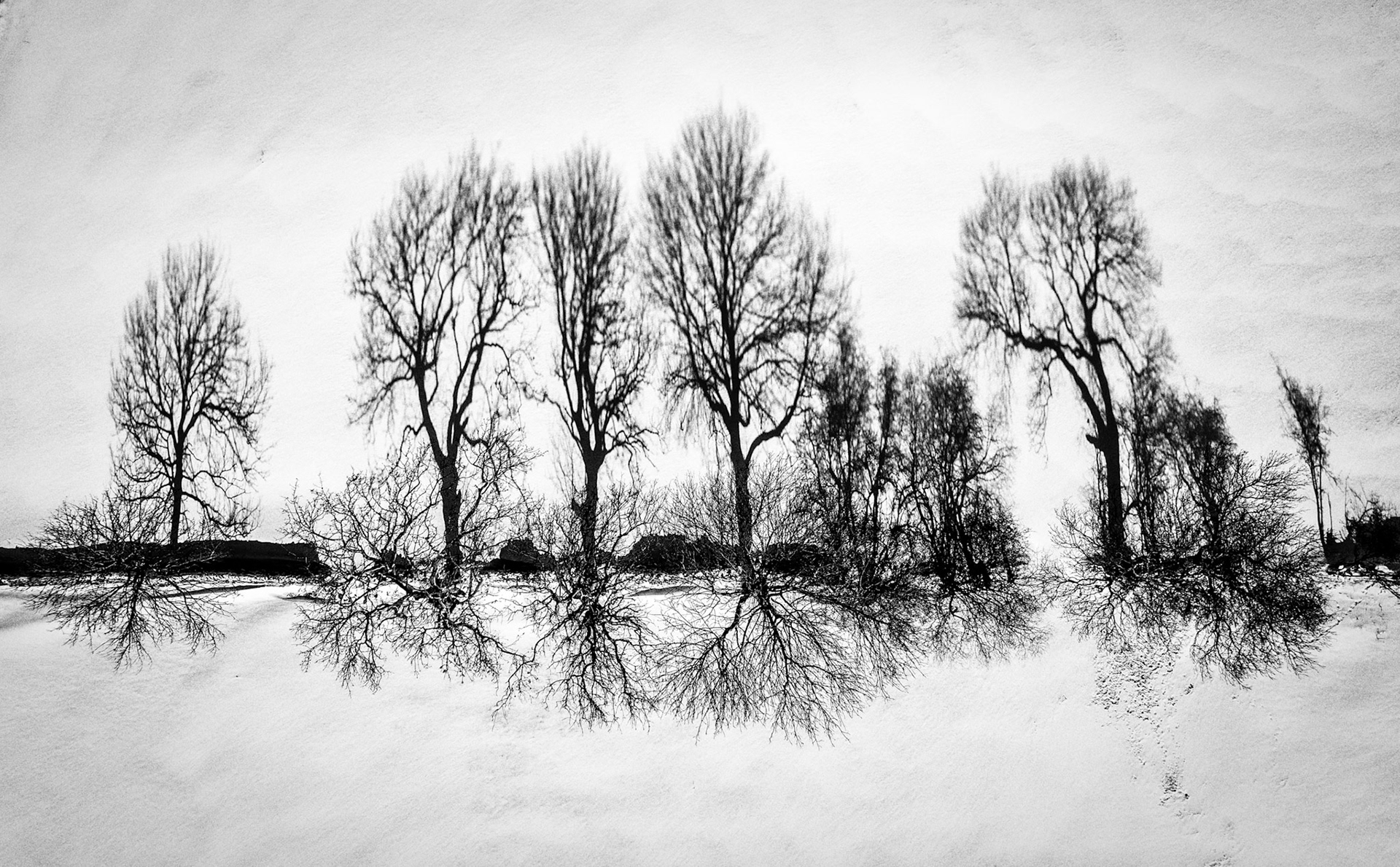 Shadows in the Snow