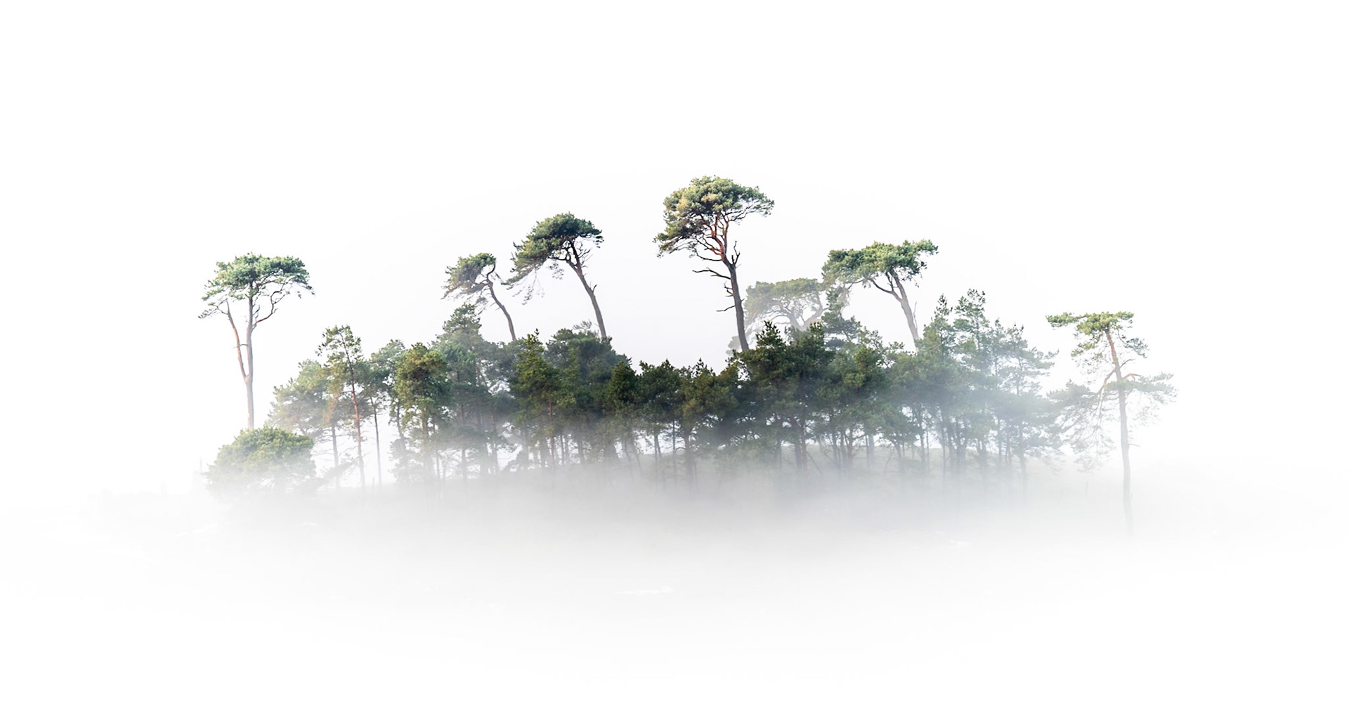 Lady Hill in Fog